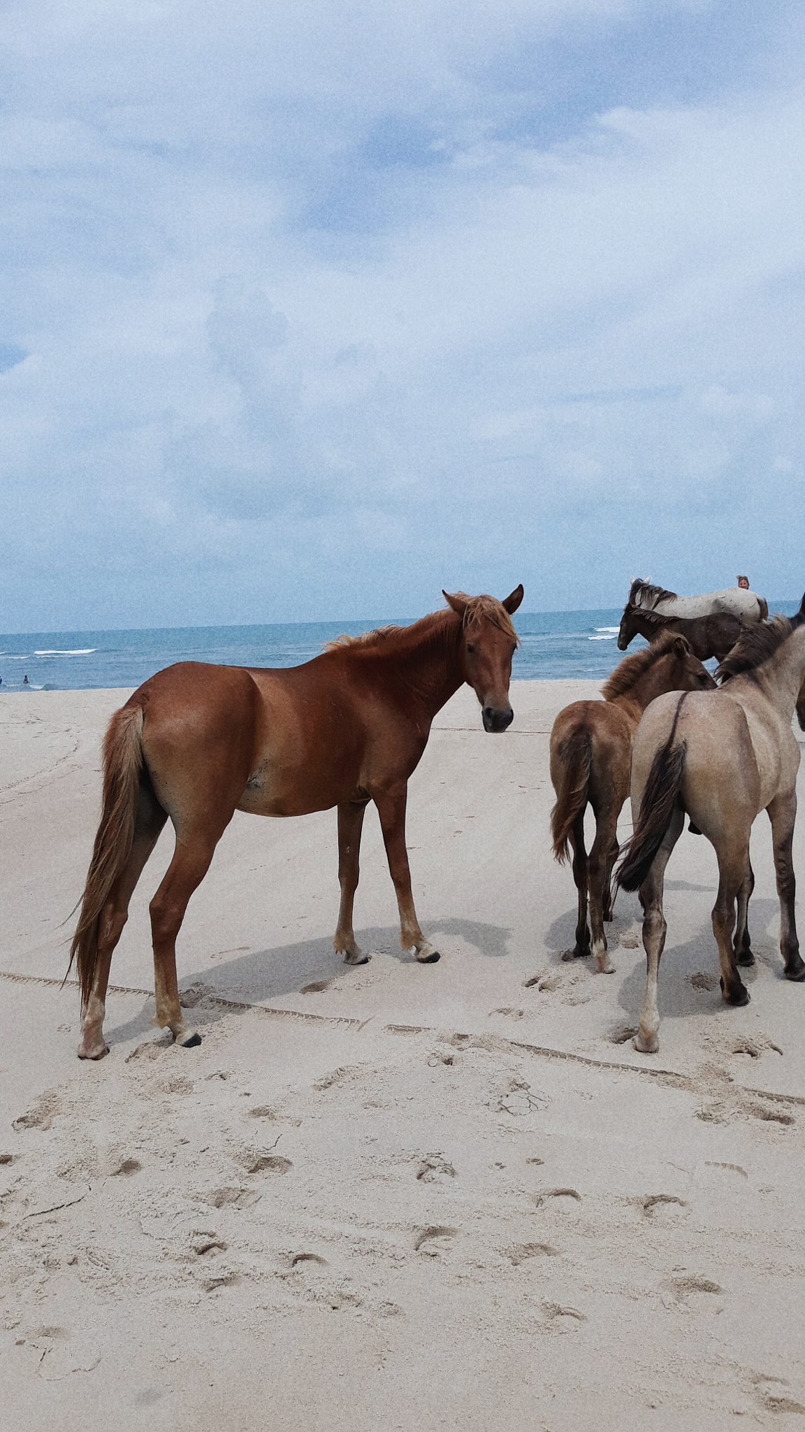 Samsung Galaxy J5 Pro sample photo