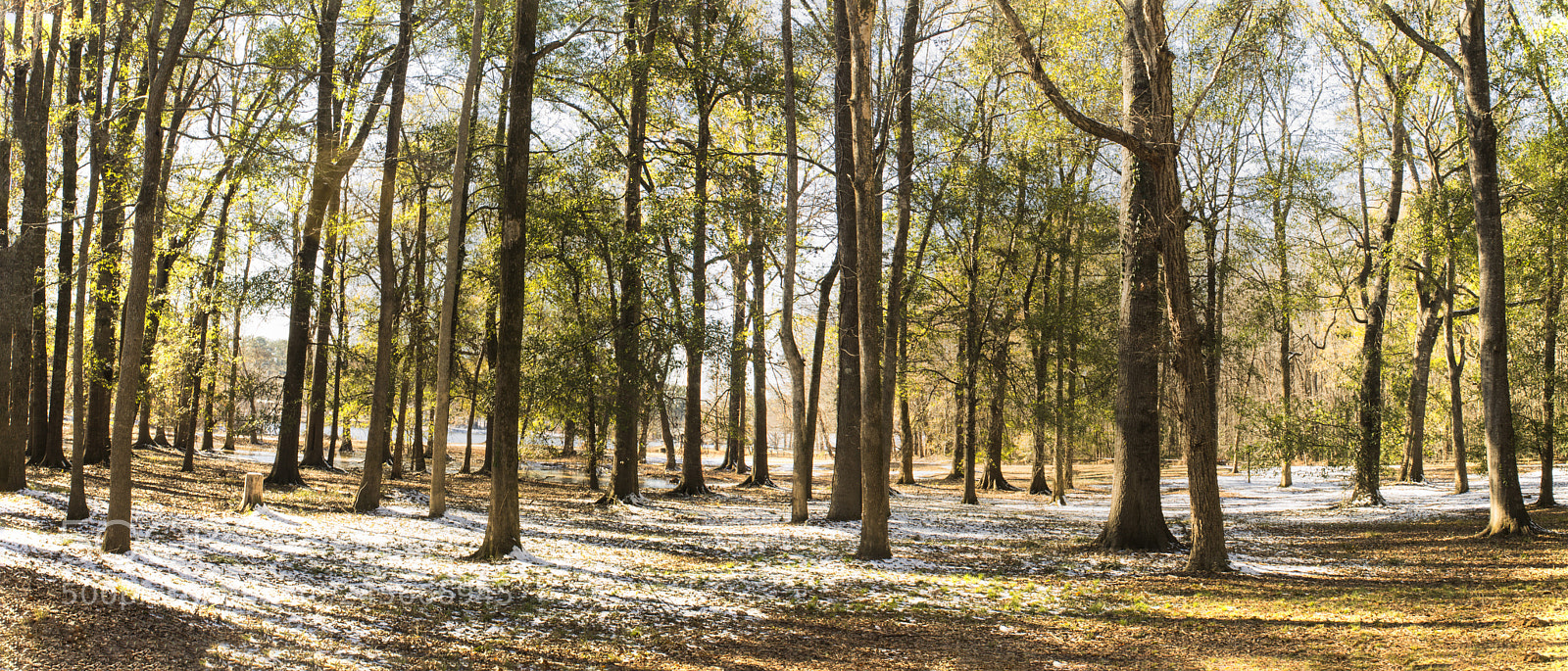 Canon EOS 1100D (EOS Rebel T3 / EOS Kiss X50) sample photo. The panoramic of a photography