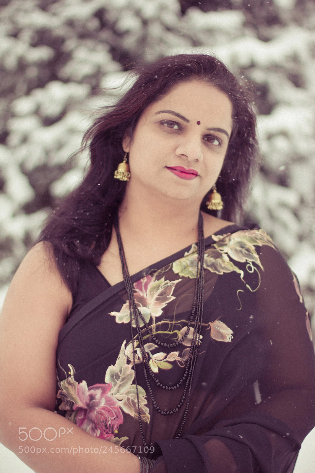 Canon EOS 550D (EOS Rebel T2i / EOS Kiss X4) sample photo. Snow & saree photography