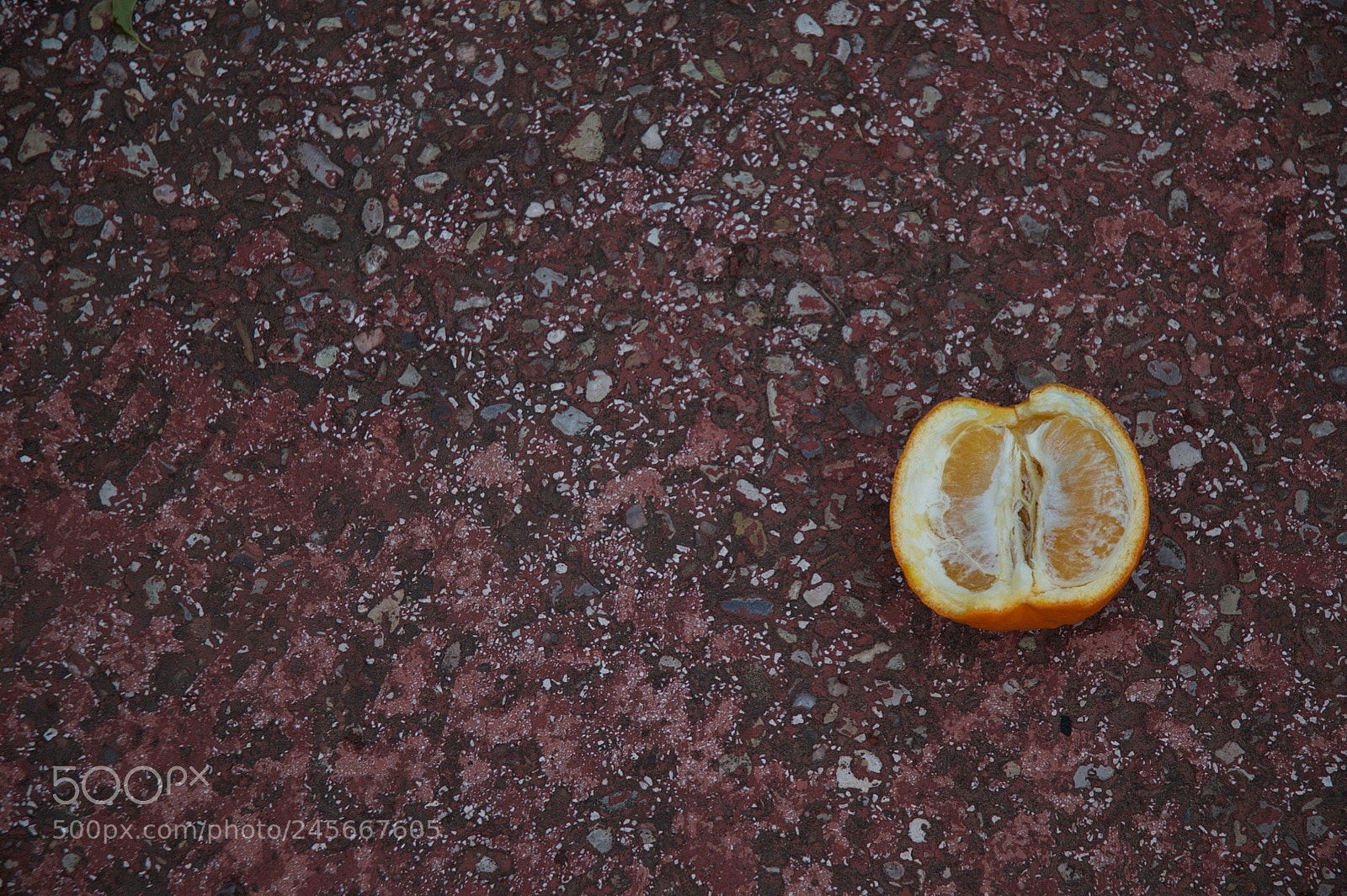 Nikon D70s sample photo. Orange & red photography