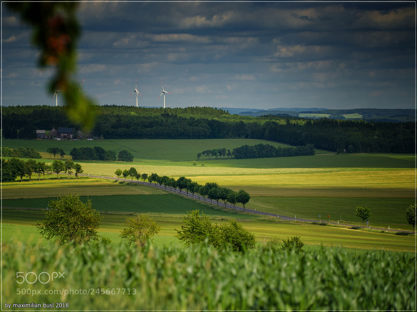 Nikon D3S sample photo. Wish it was summer photography