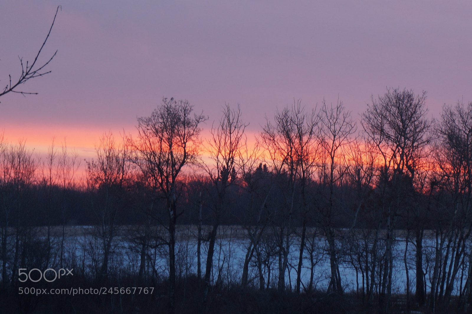 Sony Alpha a5000 (ILCE 5000) sample photo. Dsc photography
