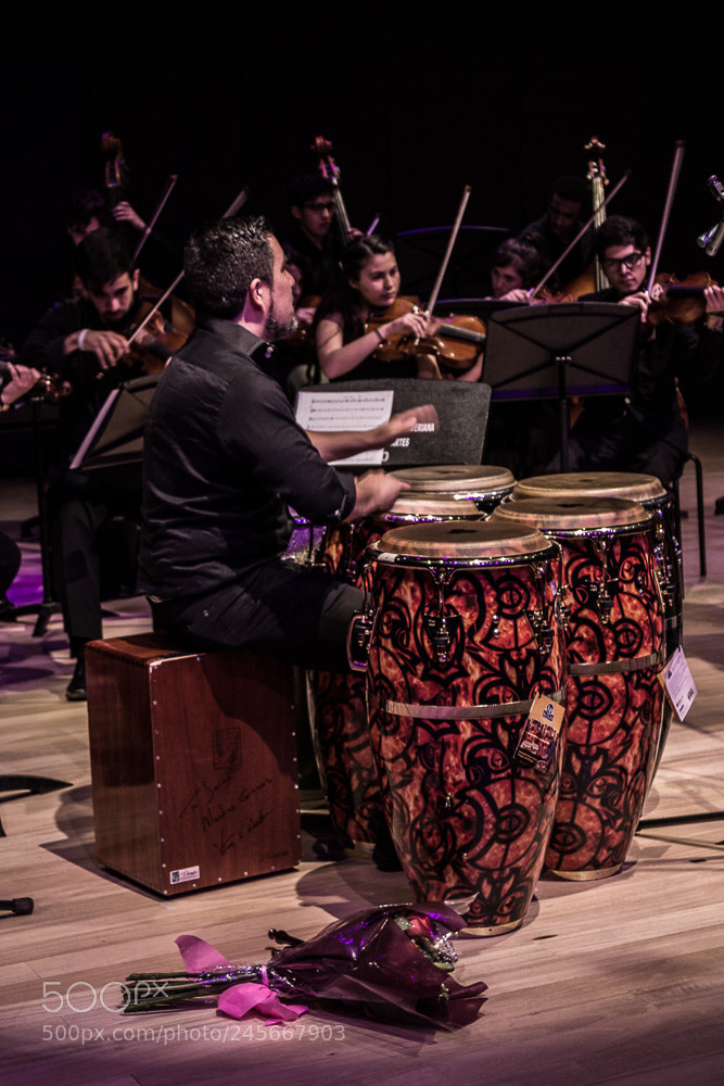 Canon EOS 600D (Rebel EOS T3i / EOS Kiss X5) sample photo. Orquesta sinf nica javeriana photography