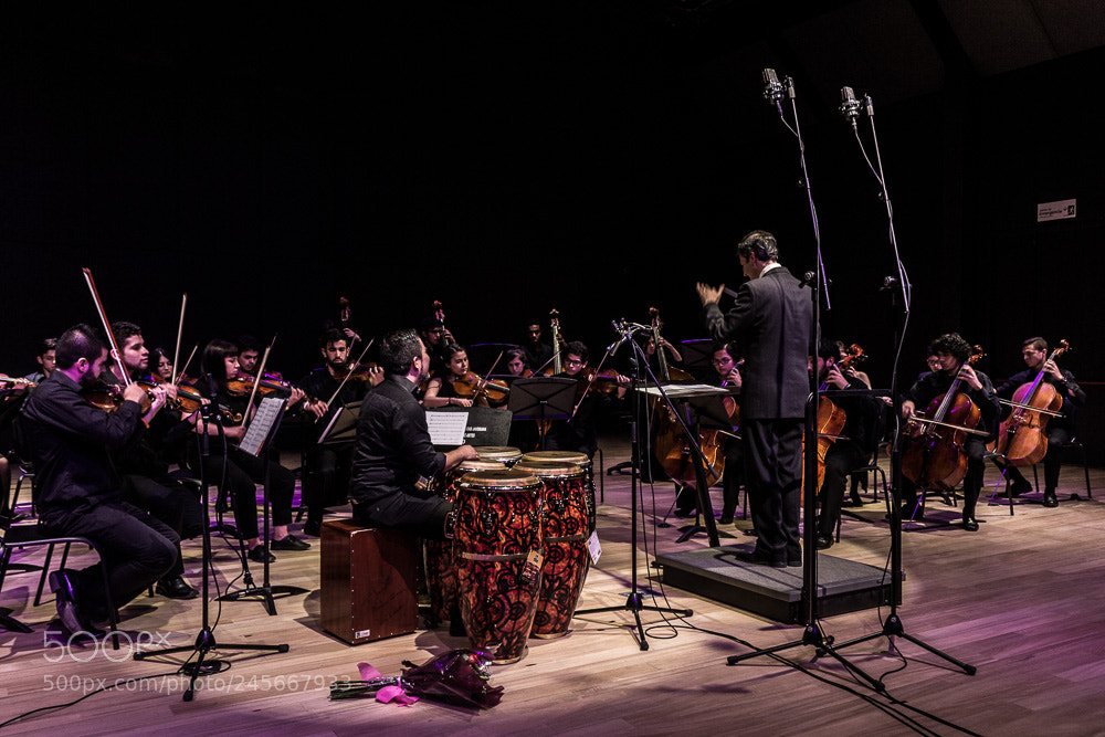 Canon EOS 600D (Rebel EOS T3i / EOS Kiss X5) sample photo. Orquesta sinf nica javeriana photography