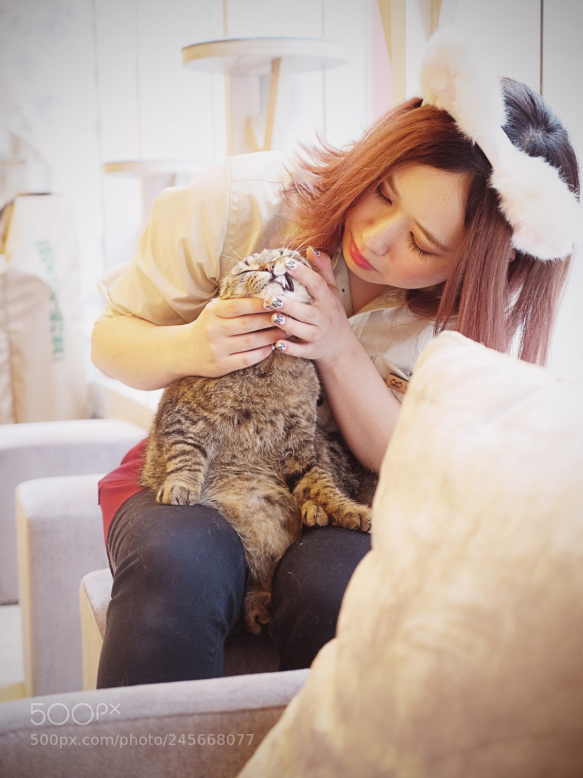 Panasonic Lumix DC-GH5 sample photo. Cat cafe photography