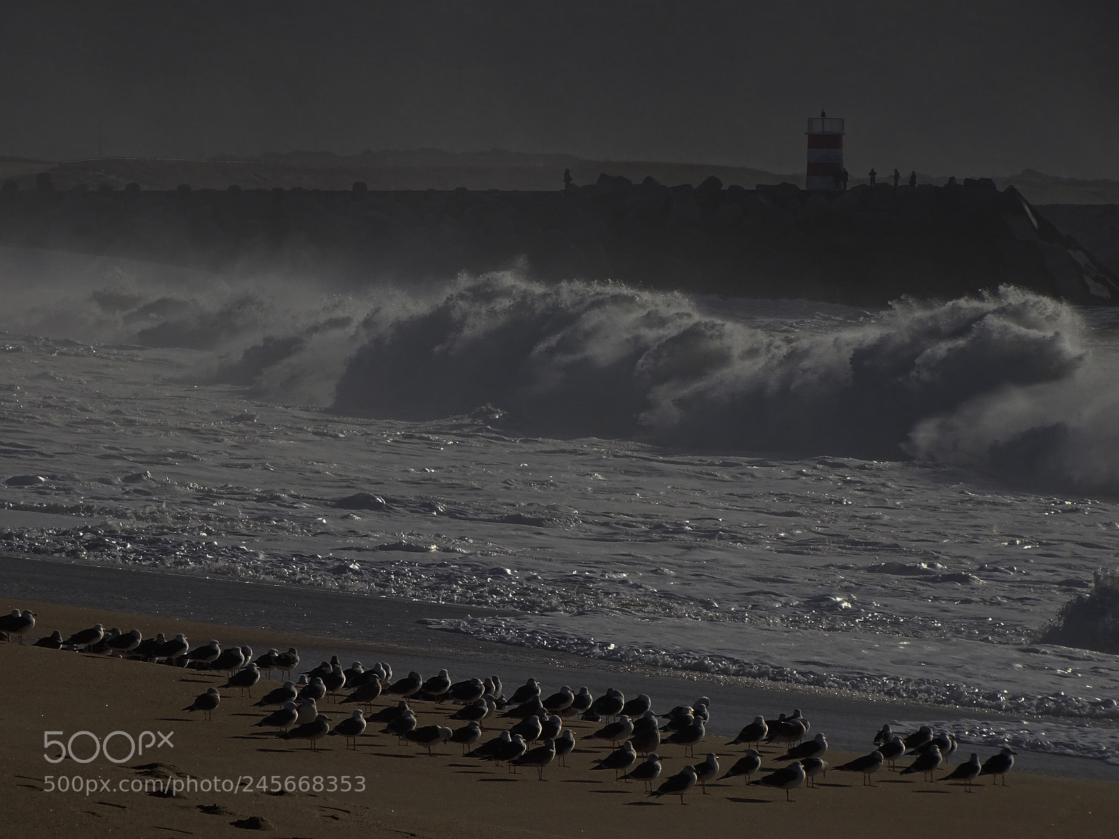 Sony Cyber-shot DSC-HX400V sample photo. Nazaré  photography
