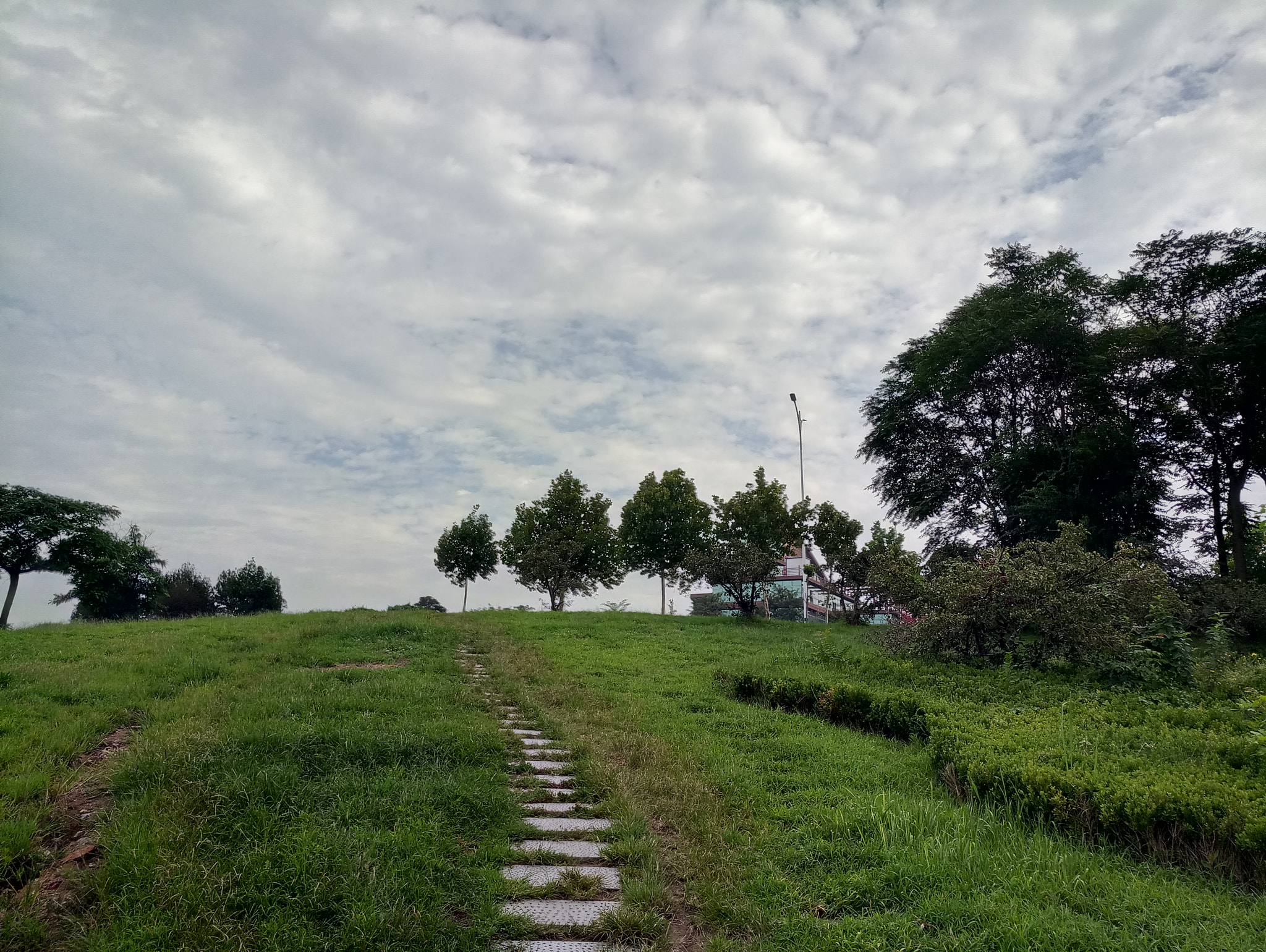 Meizu MX6 sample photo