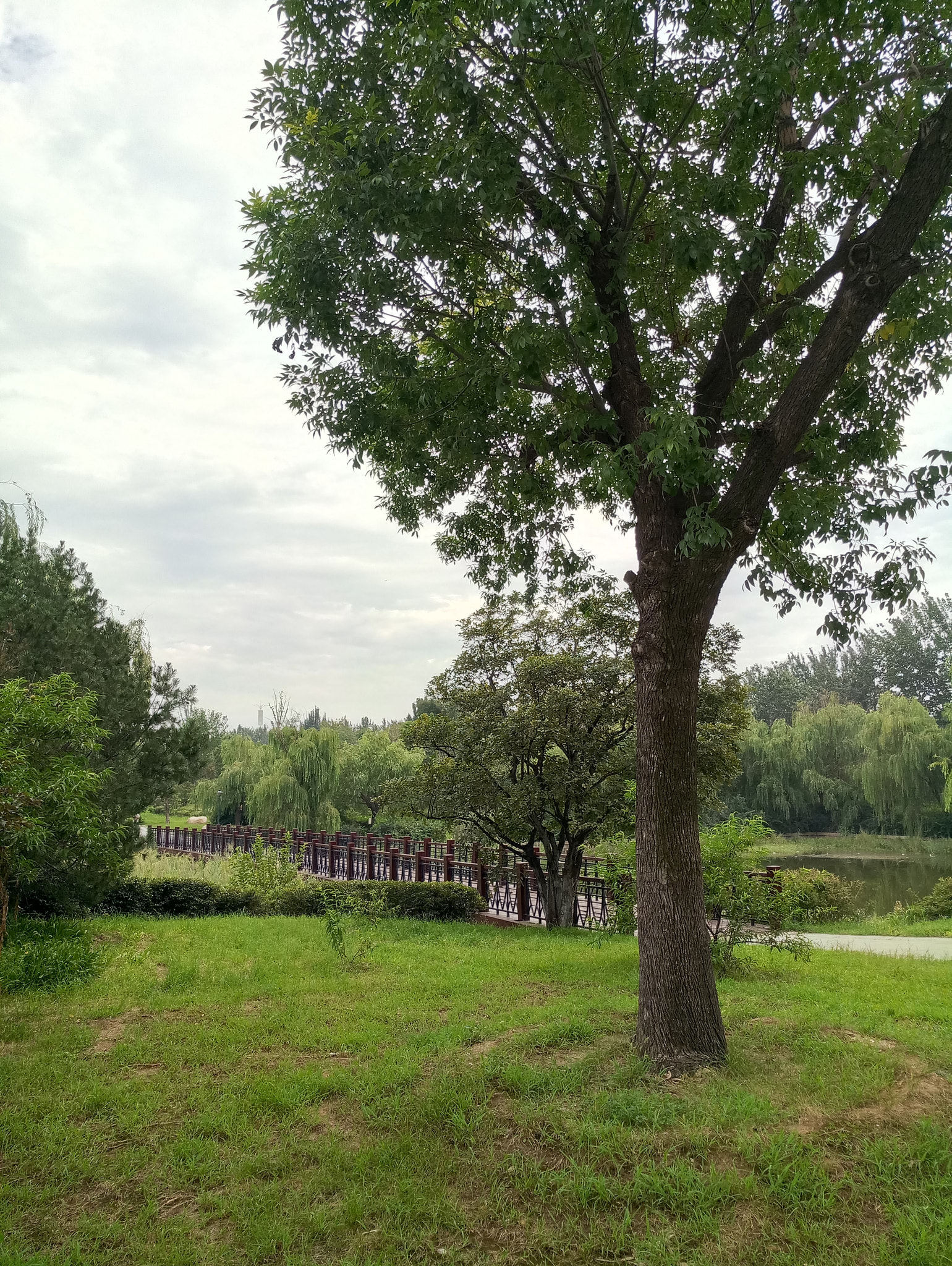 Meizu MX6 sample photo
