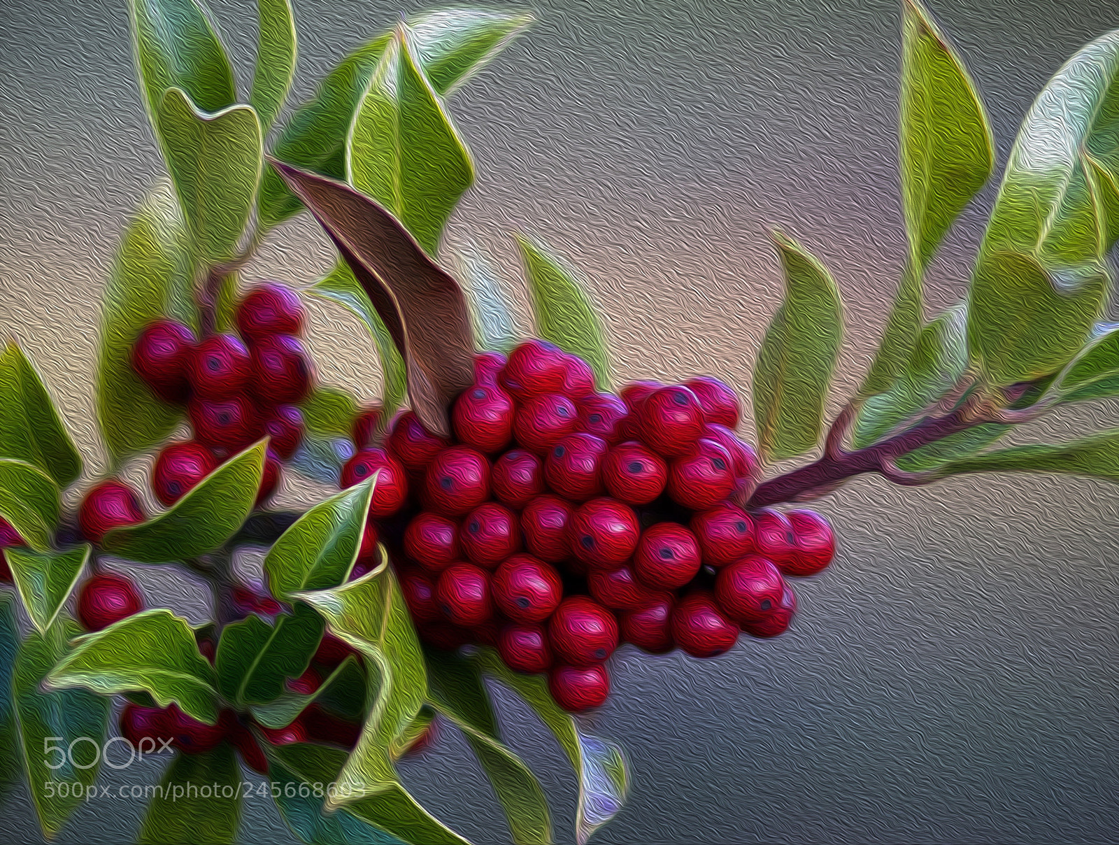 Canon EOS 600D (Rebel EOS T3i / EOS Kiss X5) sample photo. Holly berries a el photography