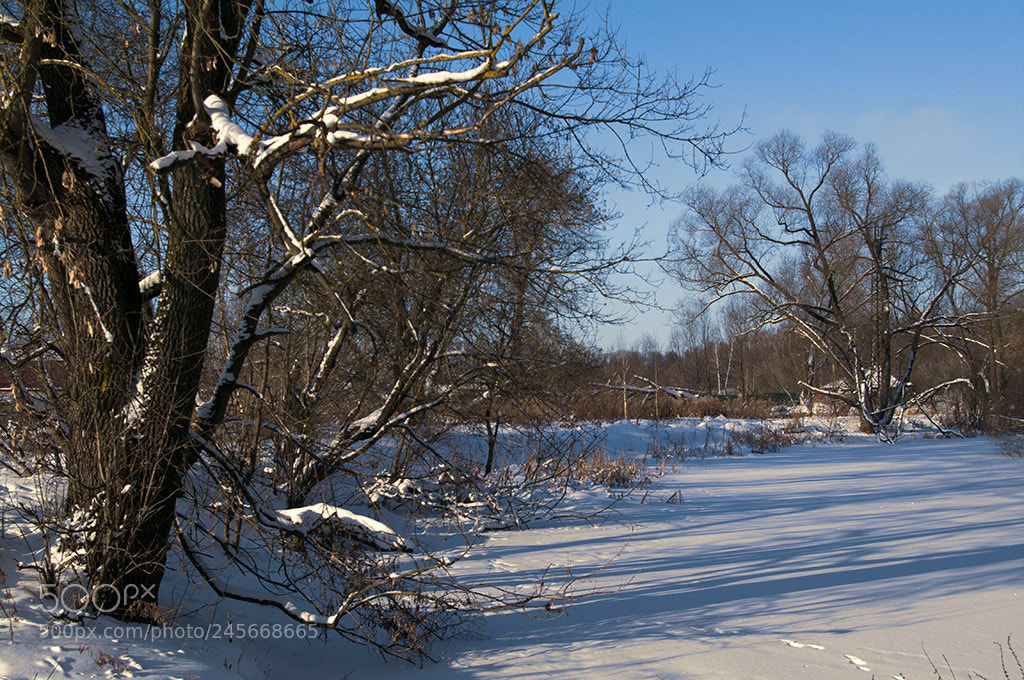 Pentax K-7 sample photo. Blue shadows. photography