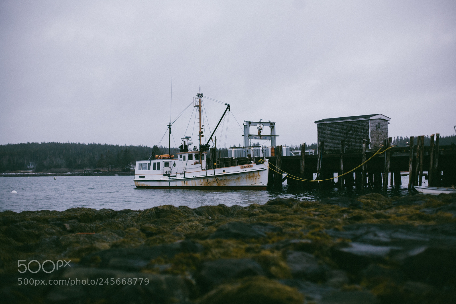 Canon EOS 5D sample photo. Port clyde photography