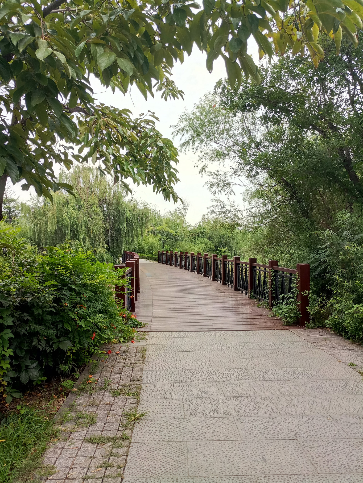 Meizu MX6 sample photo