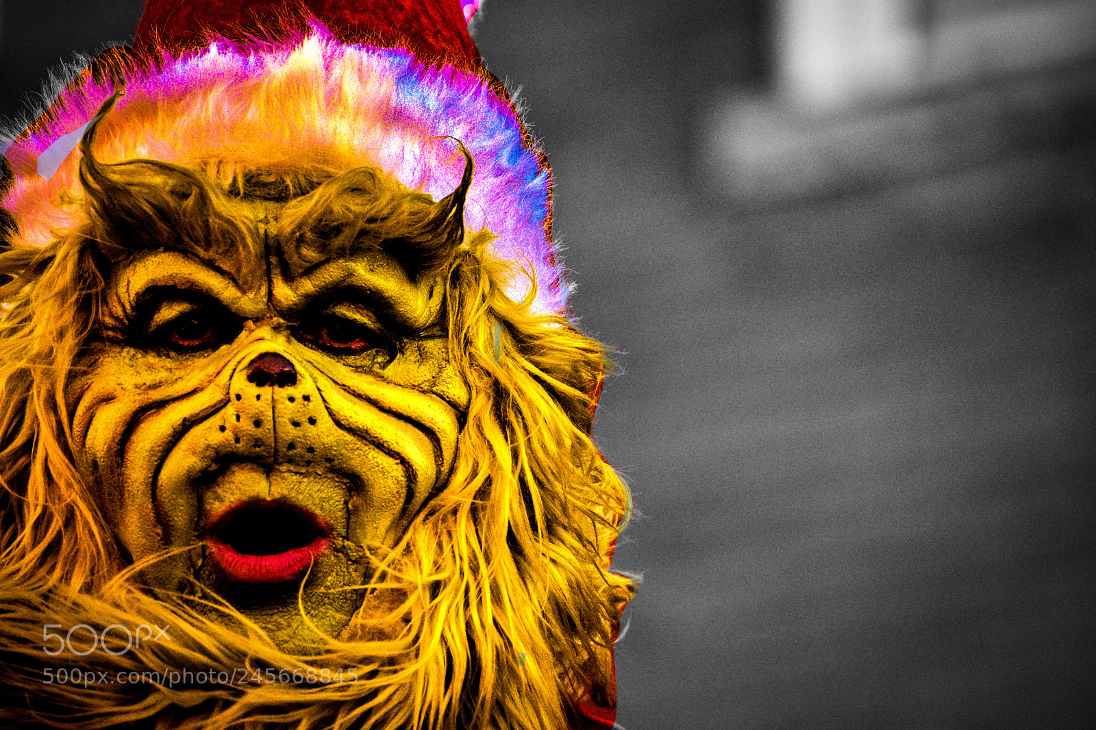 Nikon D3400 sample photo. Grinch!!!! photography