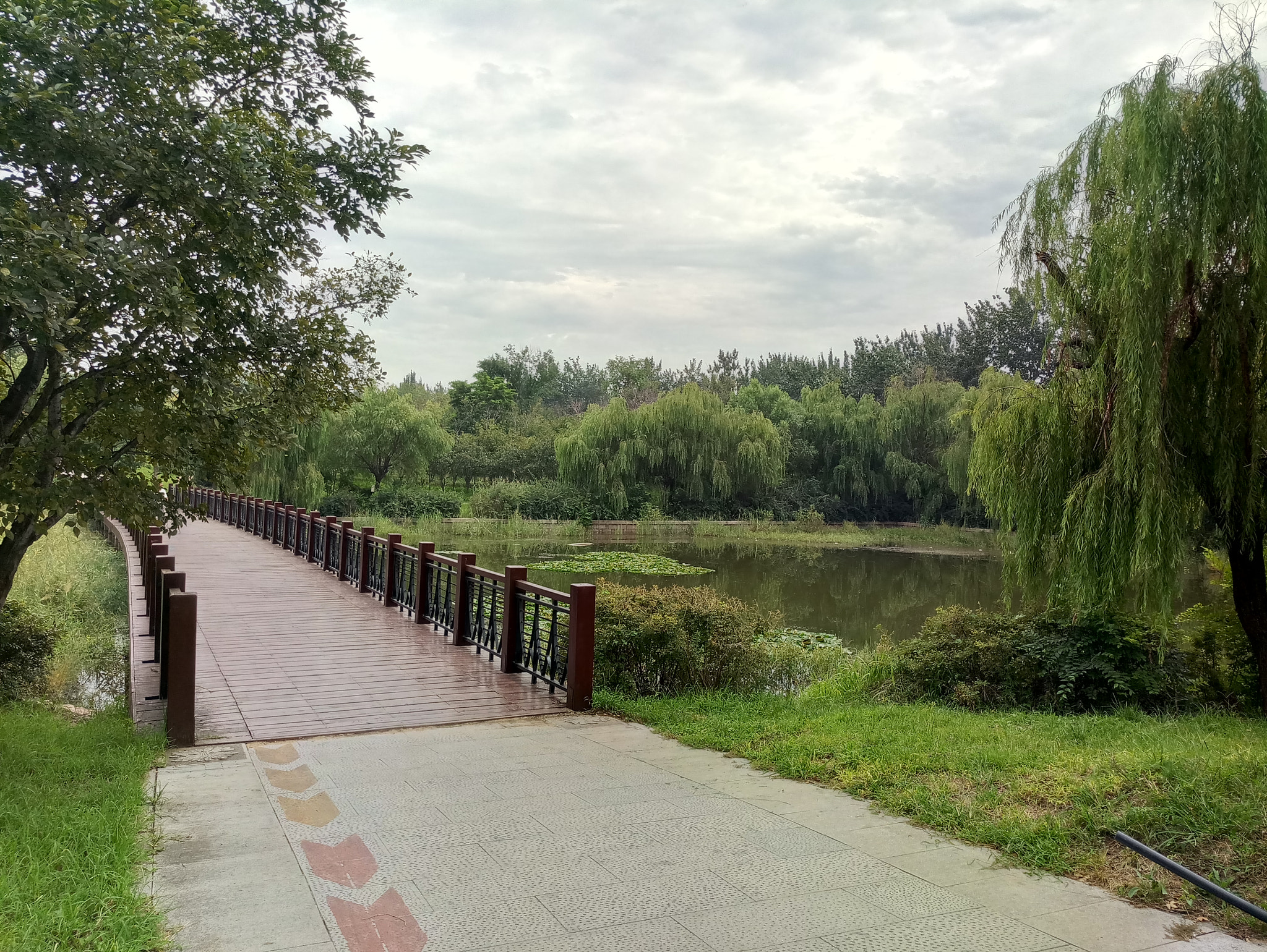 Meizu MX6 sample photo