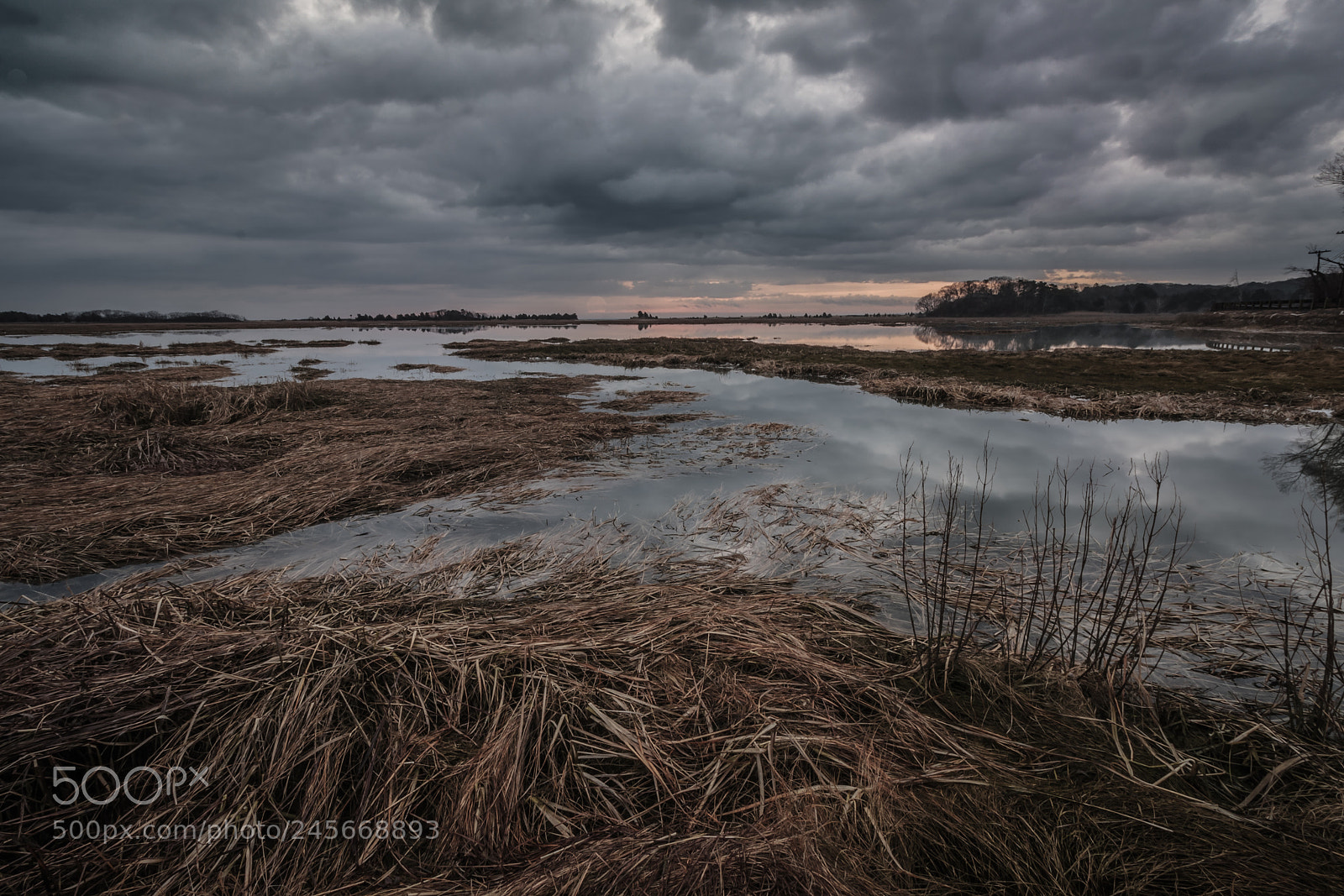Canon EOS 40D sample photo. Ellisville marsh photography
