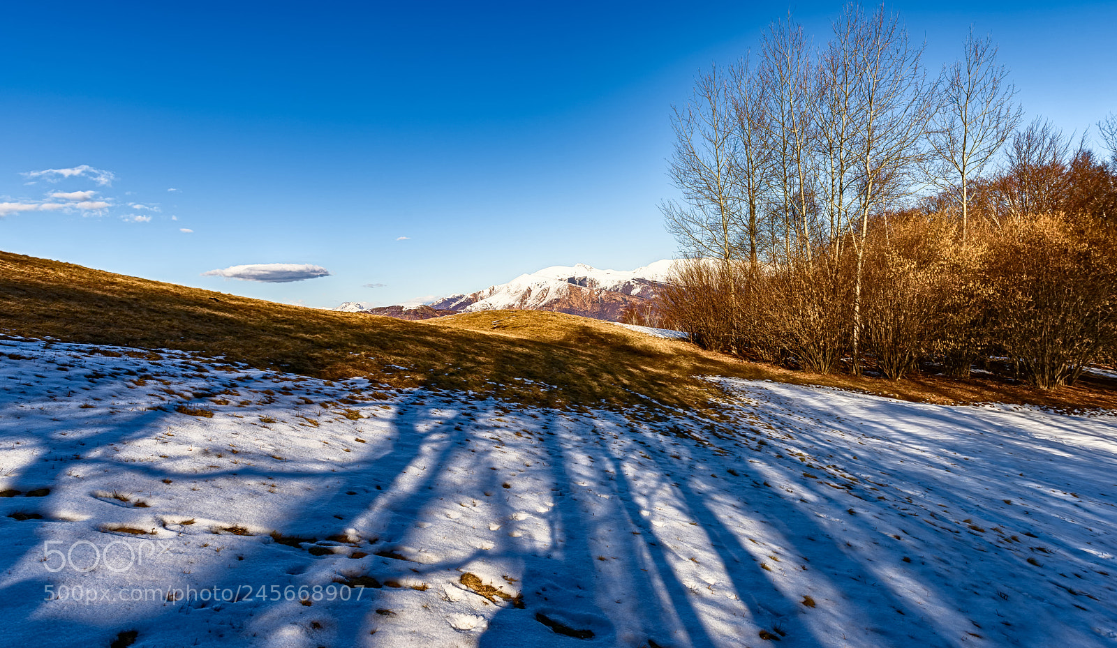 Nikon D810 sample photo. Long winter shadows photography