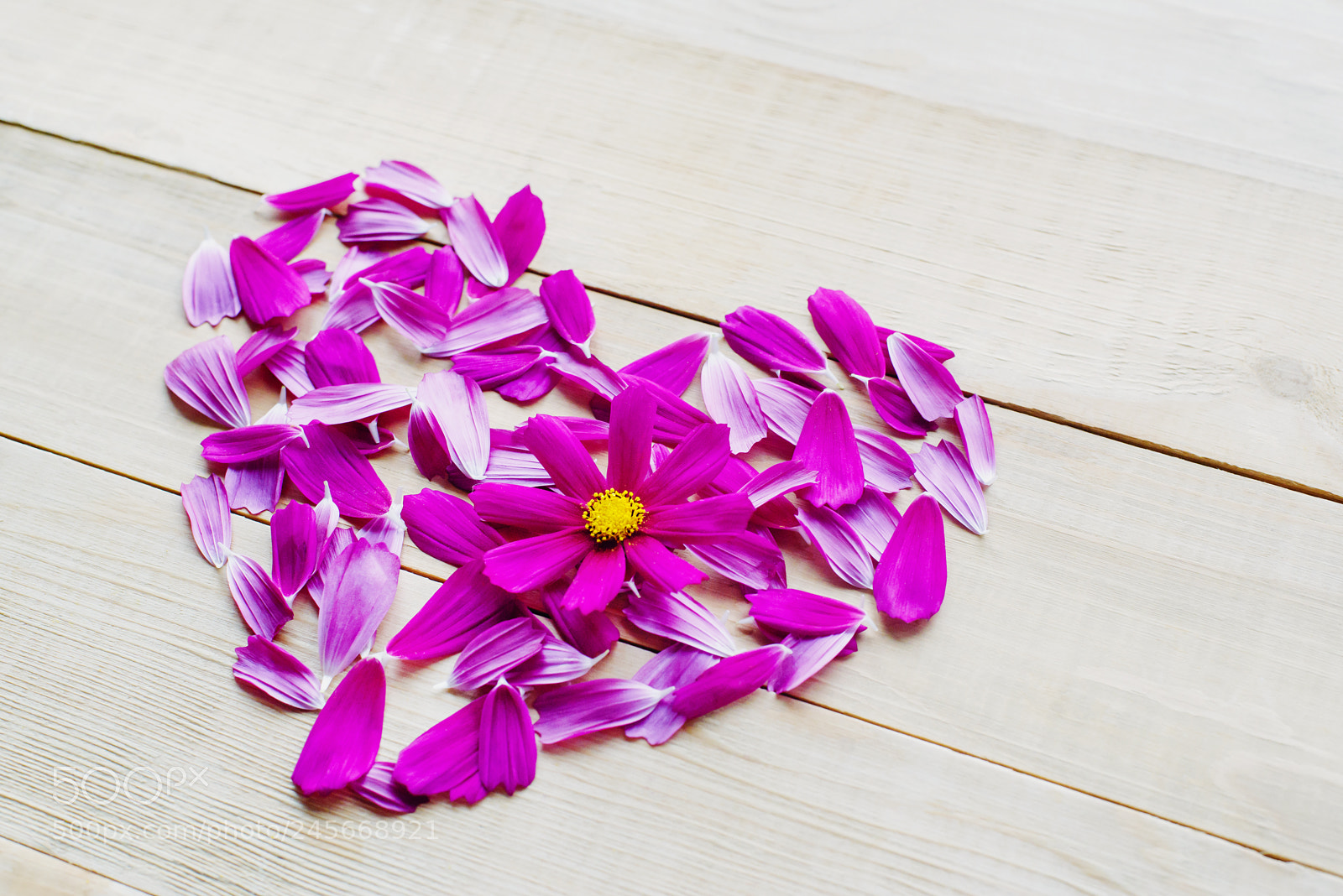 Nikon D600 sample photo. Flower heart shape lay photography