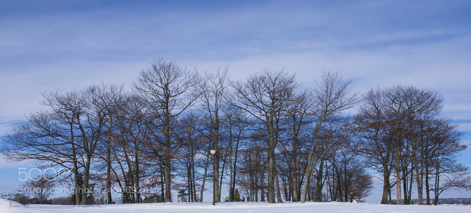 Nikon D7200 sample photo. Nellie's park photography