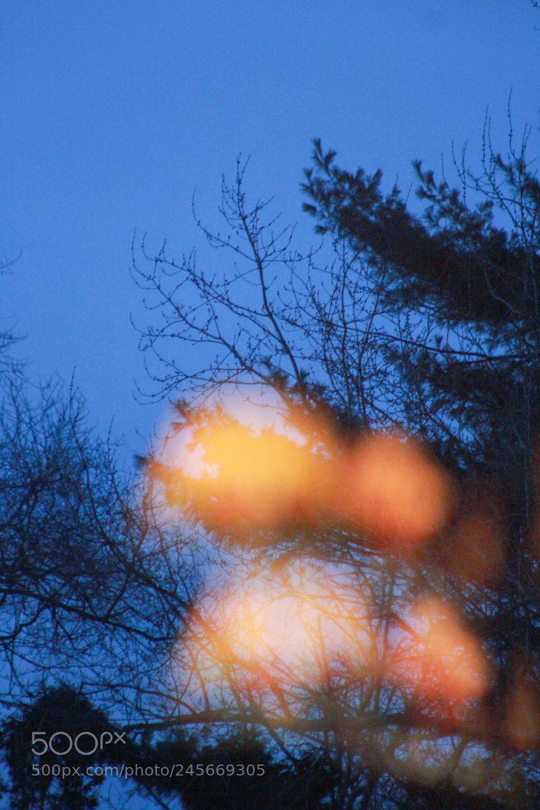 Canon EOS 600D (Rebel EOS T3i / EOS Kiss X5) sample photo. Img photography