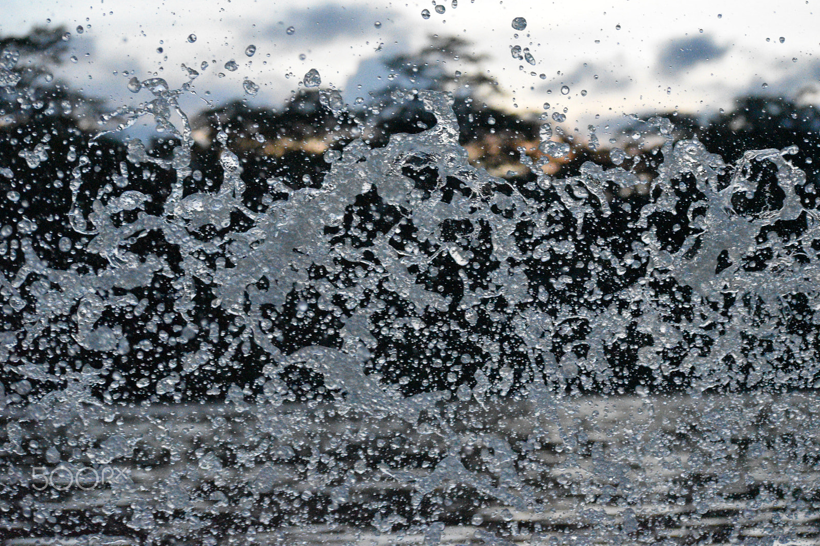 Nikon D5500 sample photo. Flying by photography