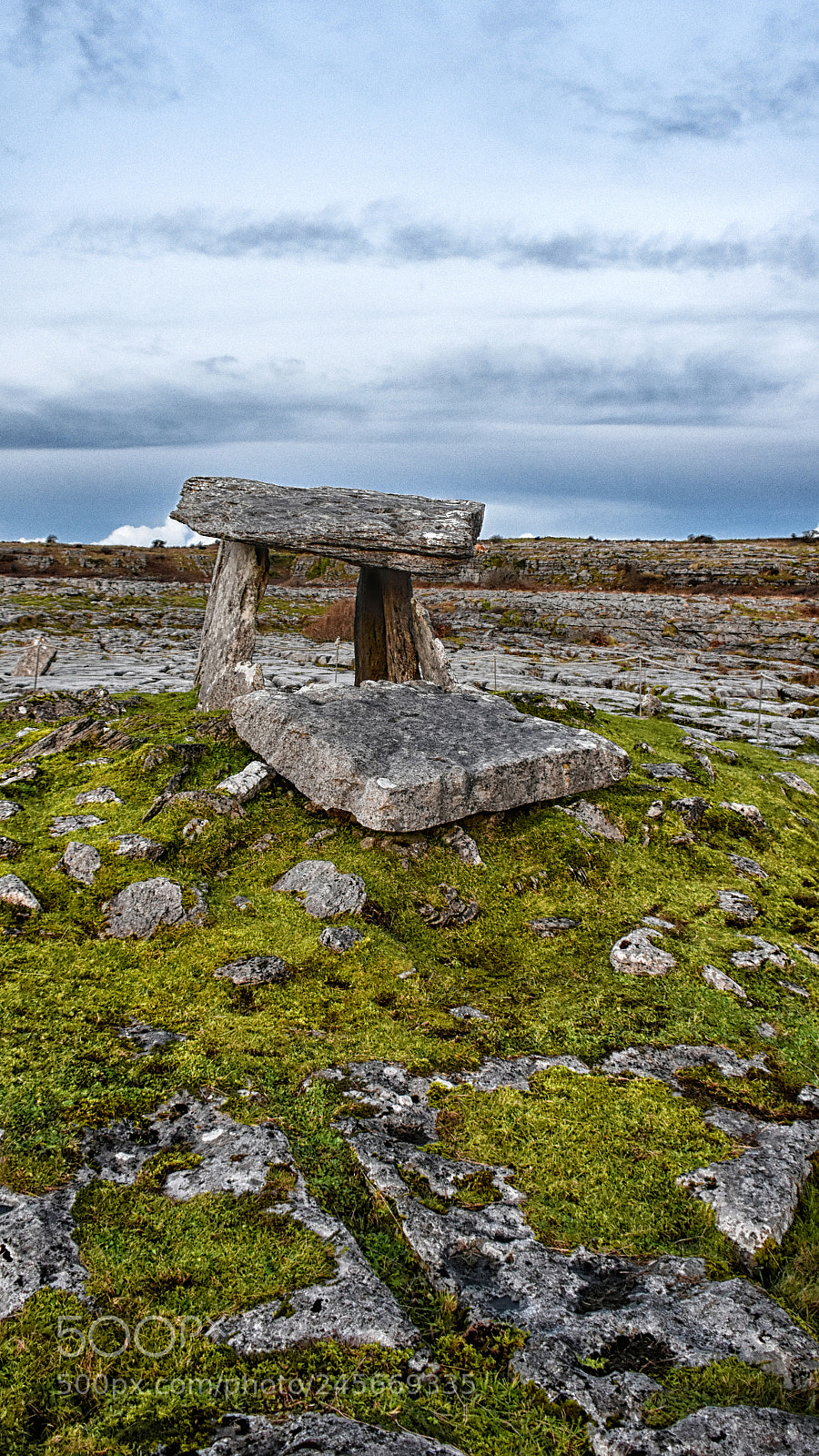 Nikon D7200 sample photo. Poulnabrone dolmen moss photography