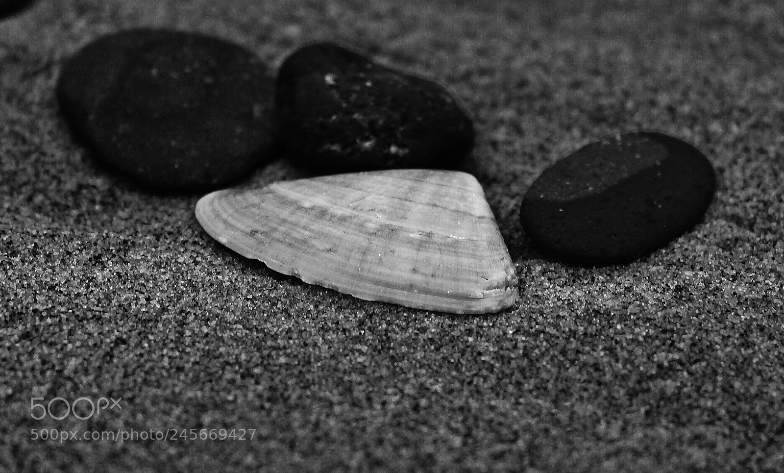 Canon EOS 500D (EOS Rebel T1i / EOS Kiss X3) sample photo. Shell & stone photography