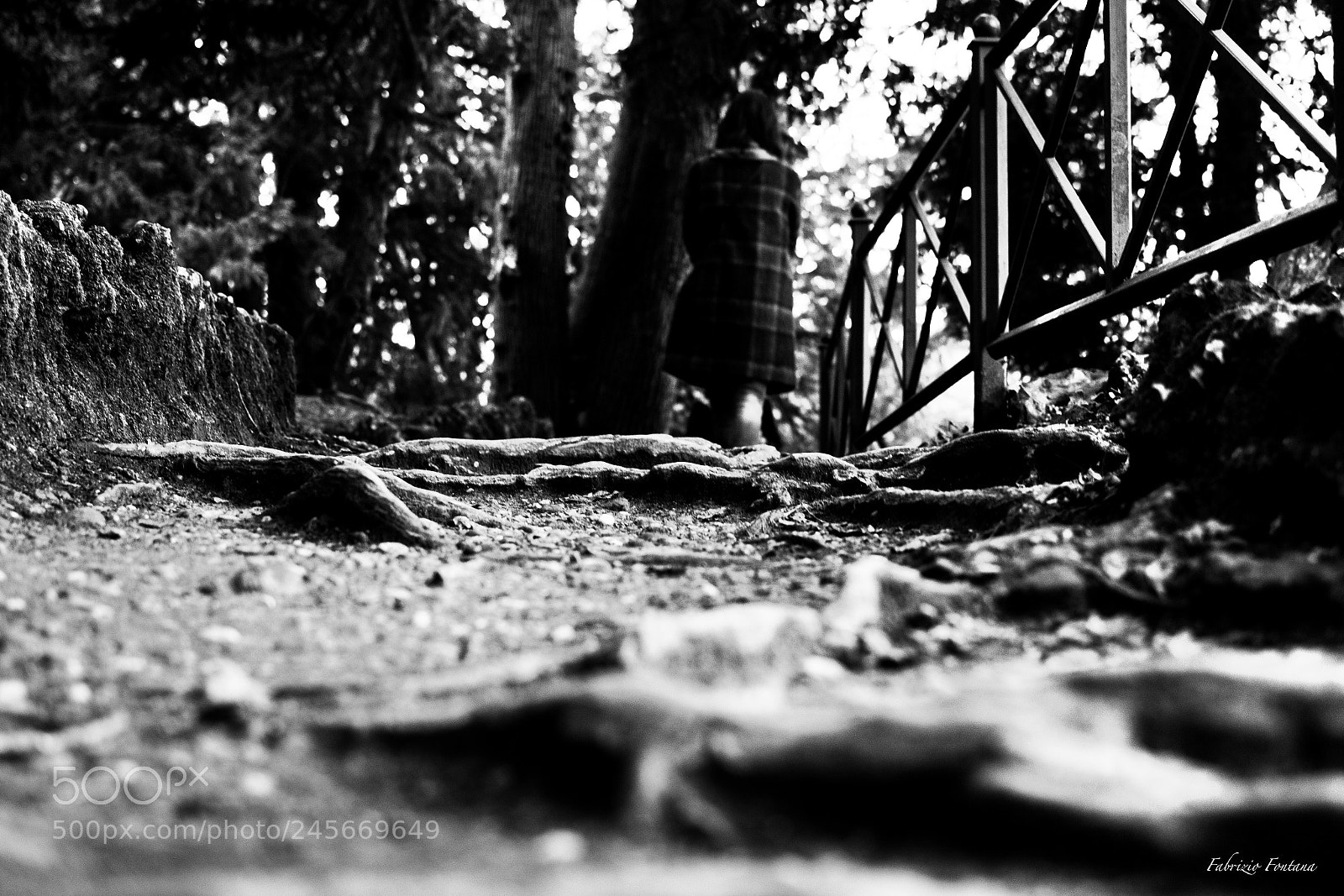Nikon D500 sample photo. Untitled photography