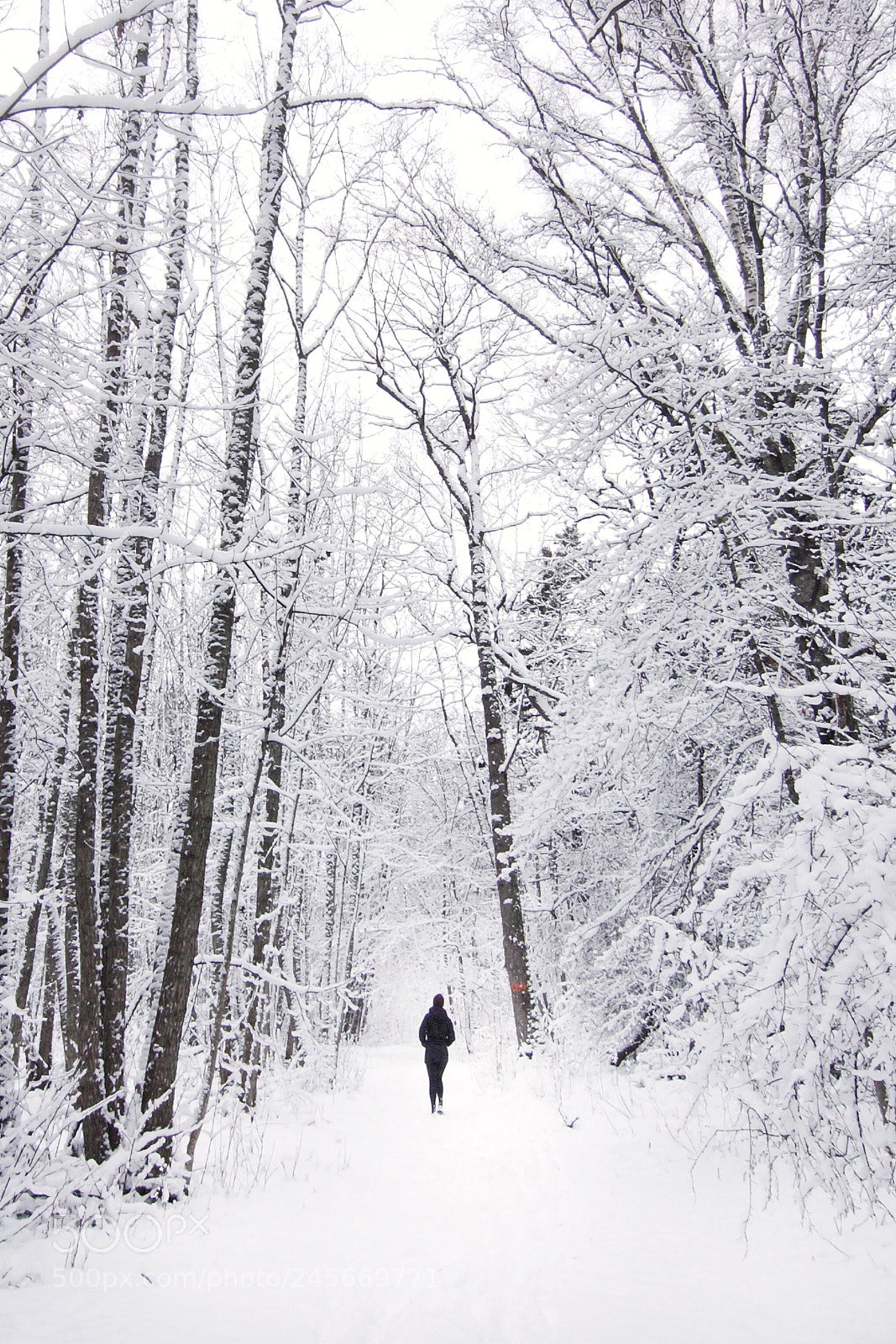 Canon EOS 50D sample photo. Winter photography
