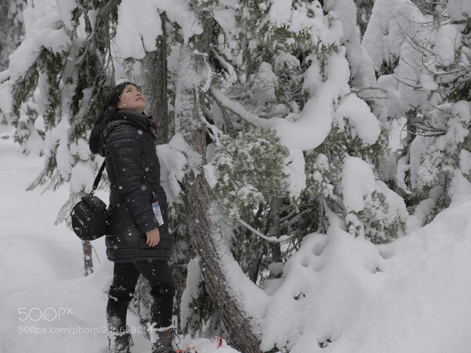 Panasonic Lumix DMC-GH4 sample photo. Looking up at the photography