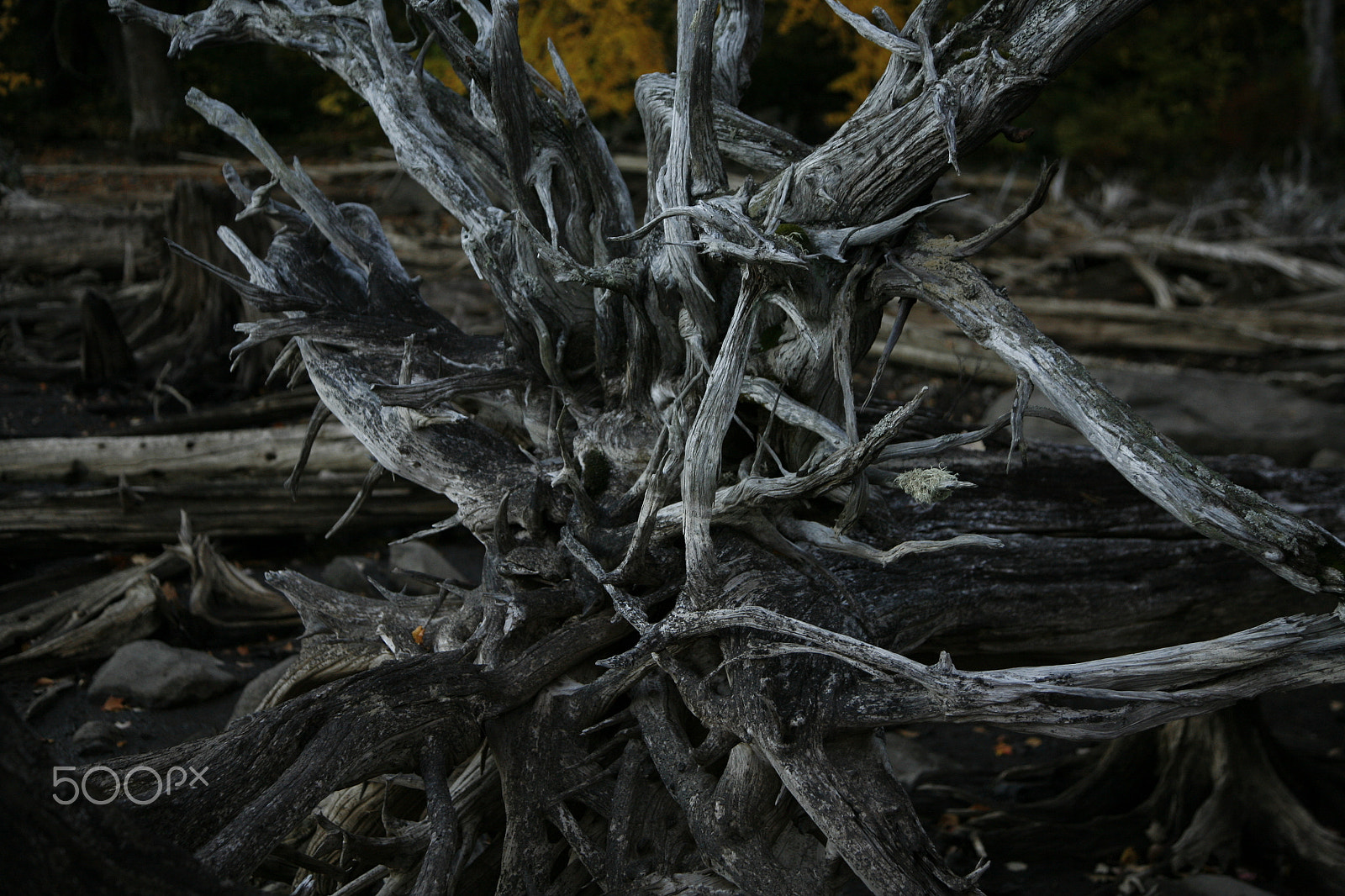 Canon EOS 5D + Canon EF 24-105mm F4L IS USM sample photo. Mg photography