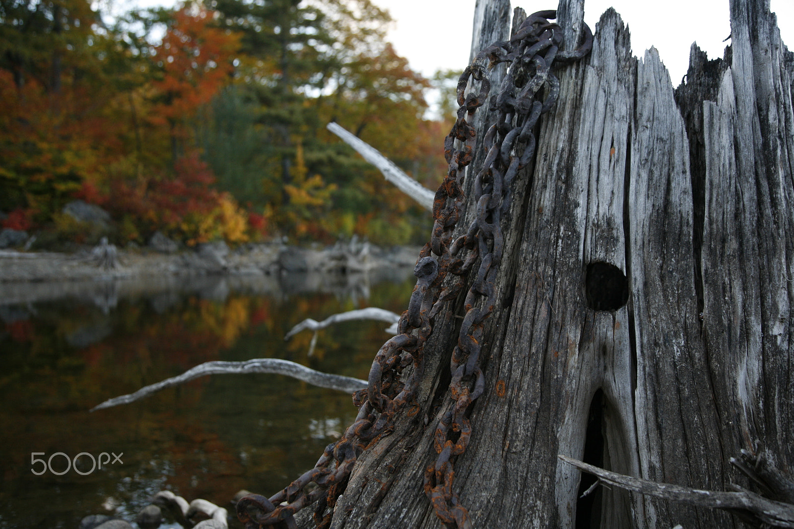 Canon EOS 5D + Canon EF 24-105mm F4L IS USM sample photo. Mg photography