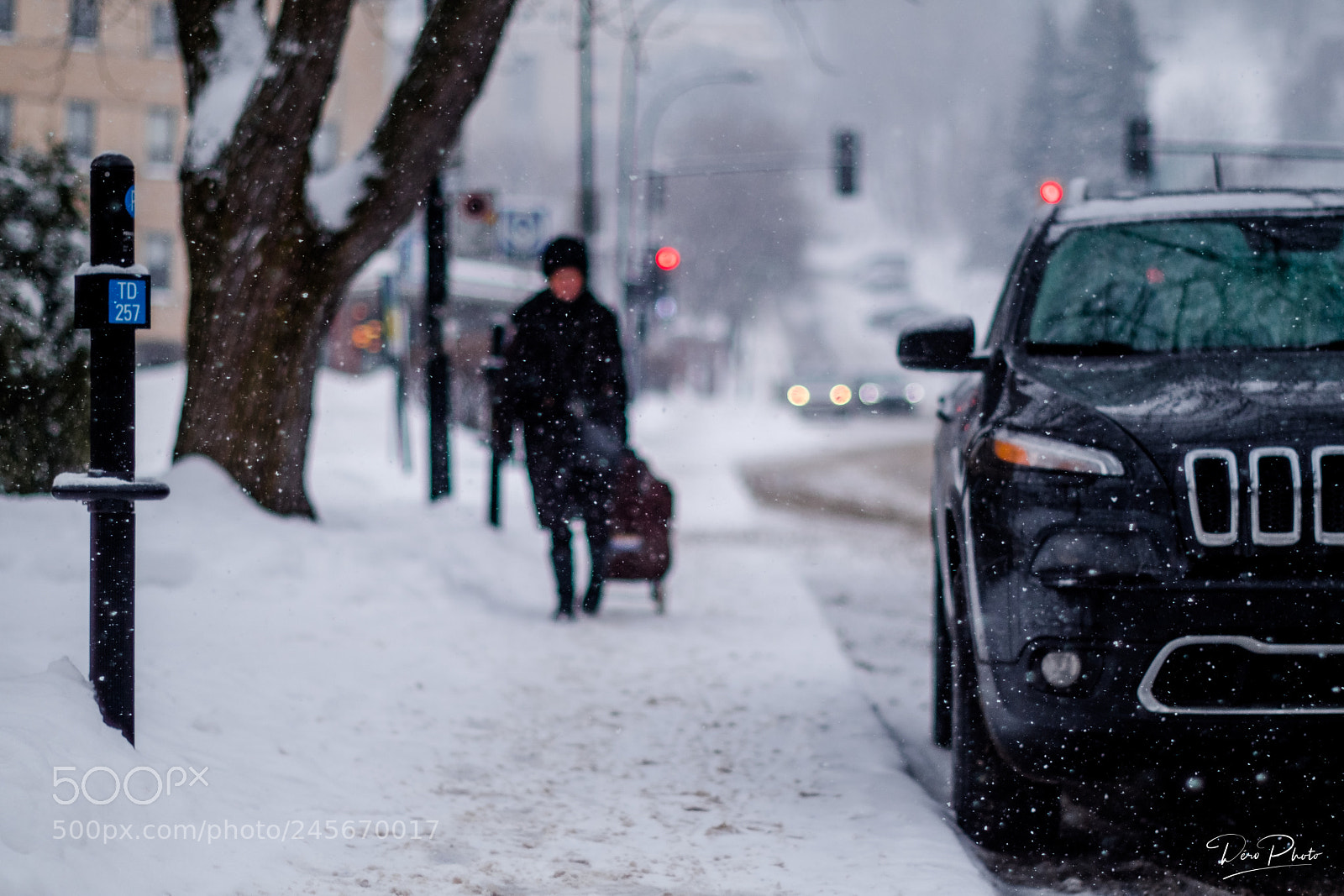 Fujifilm X-T2 sample photo. Winter silhouette photography