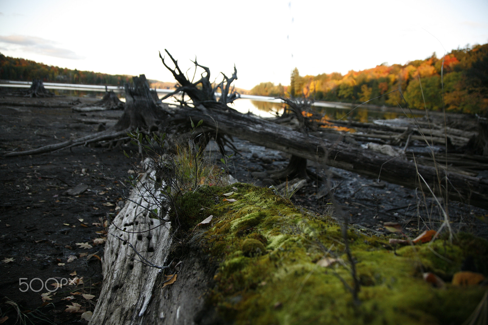 Canon EOS 5D + Canon EF 24-105mm F4L IS USM sample photo. Mg photography