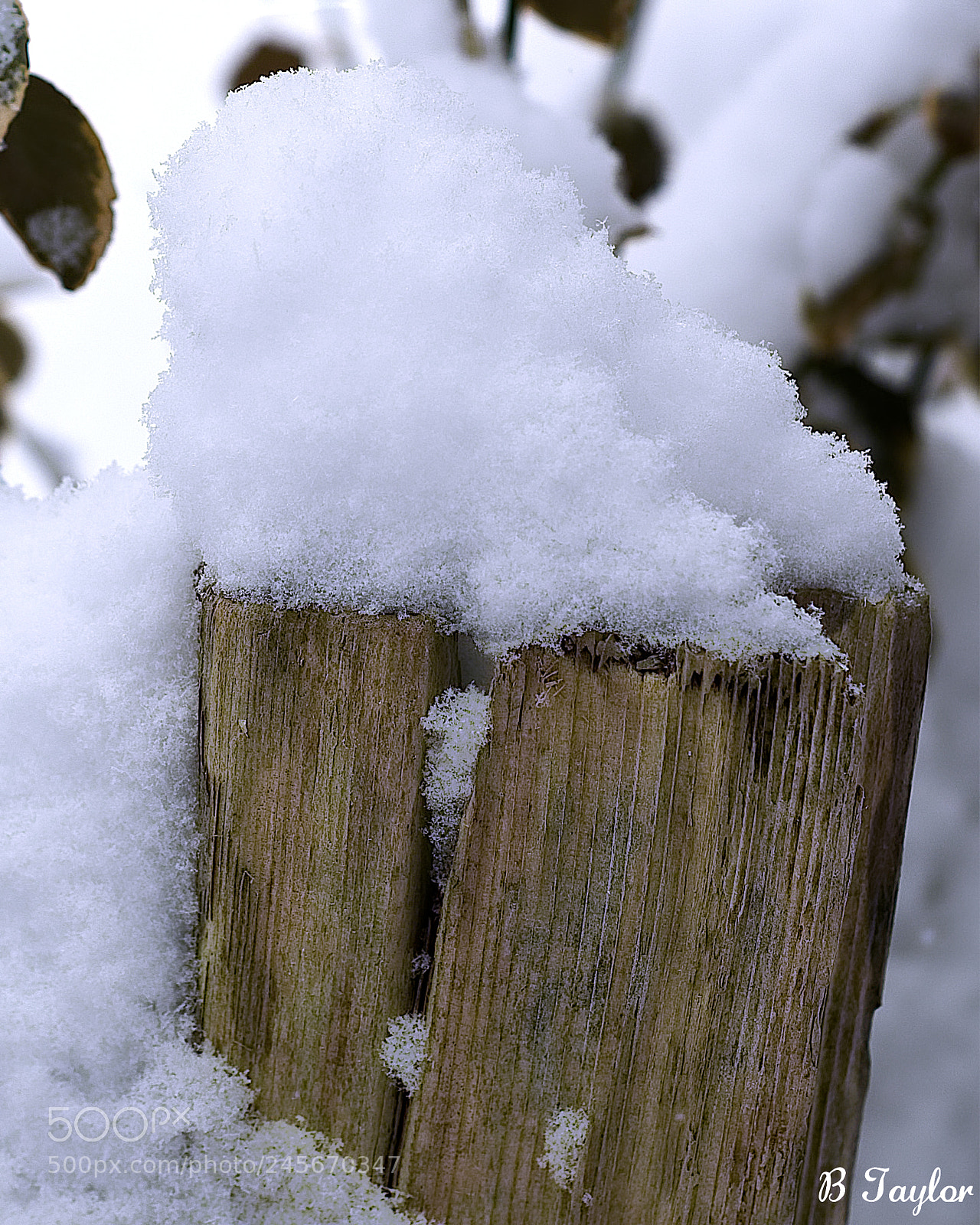 Sony SLT-A57 sample photo. Snowpost photography