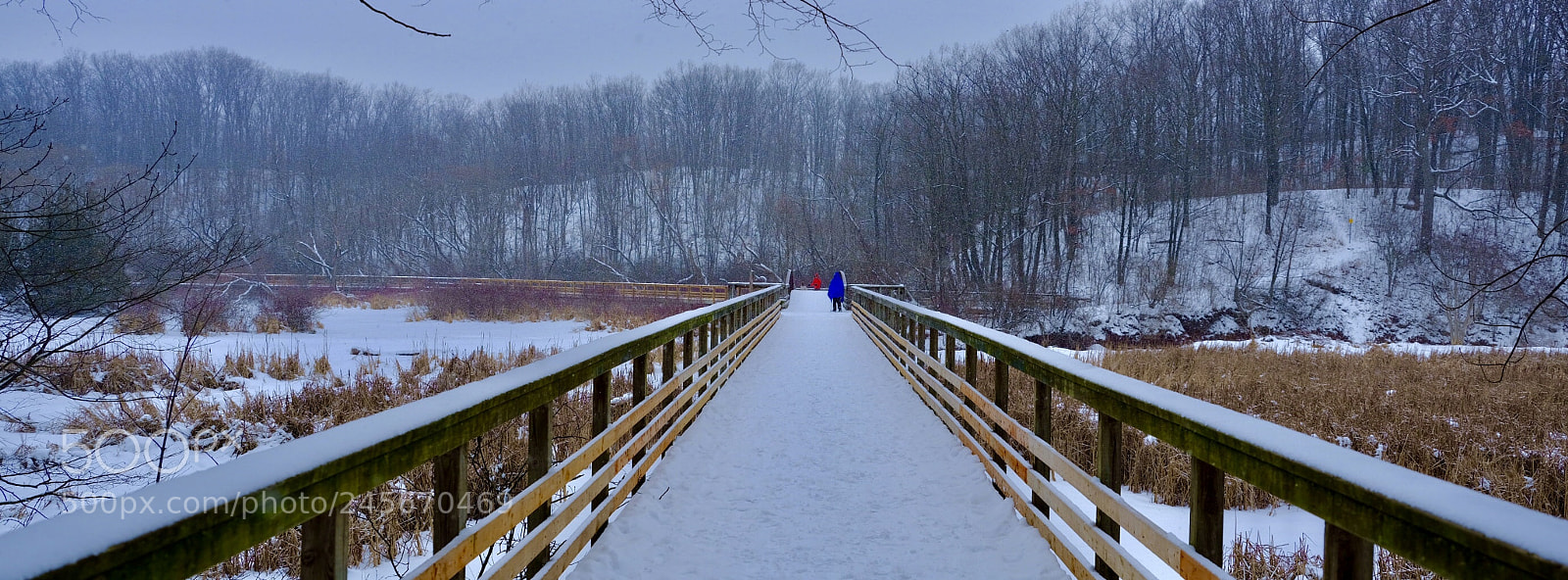 Fujifilm GFX 50S sample photo. Hiking on boardwalk trail photography