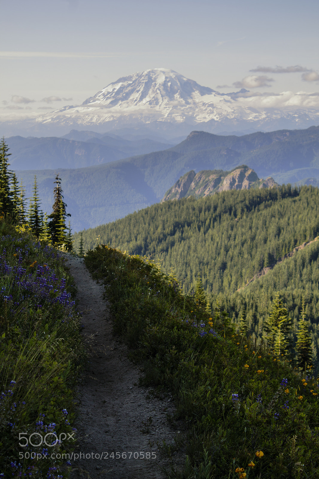 Canon EOS 1100D (EOS Rebel T3 / EOS Kiss X50) sample photo. Foot road to rainier photography