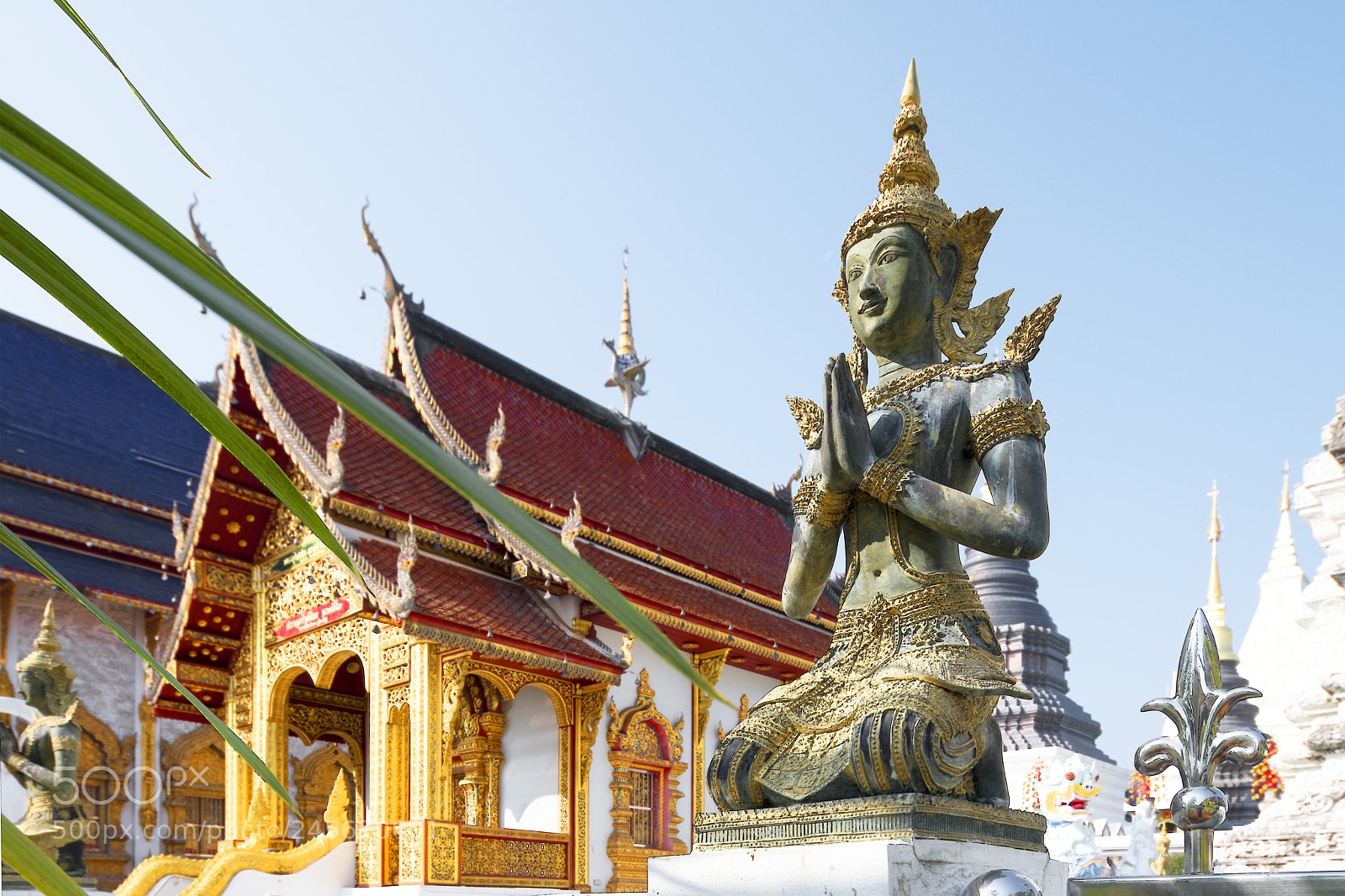 Nikon D850 sample photo. Wat ban den photography