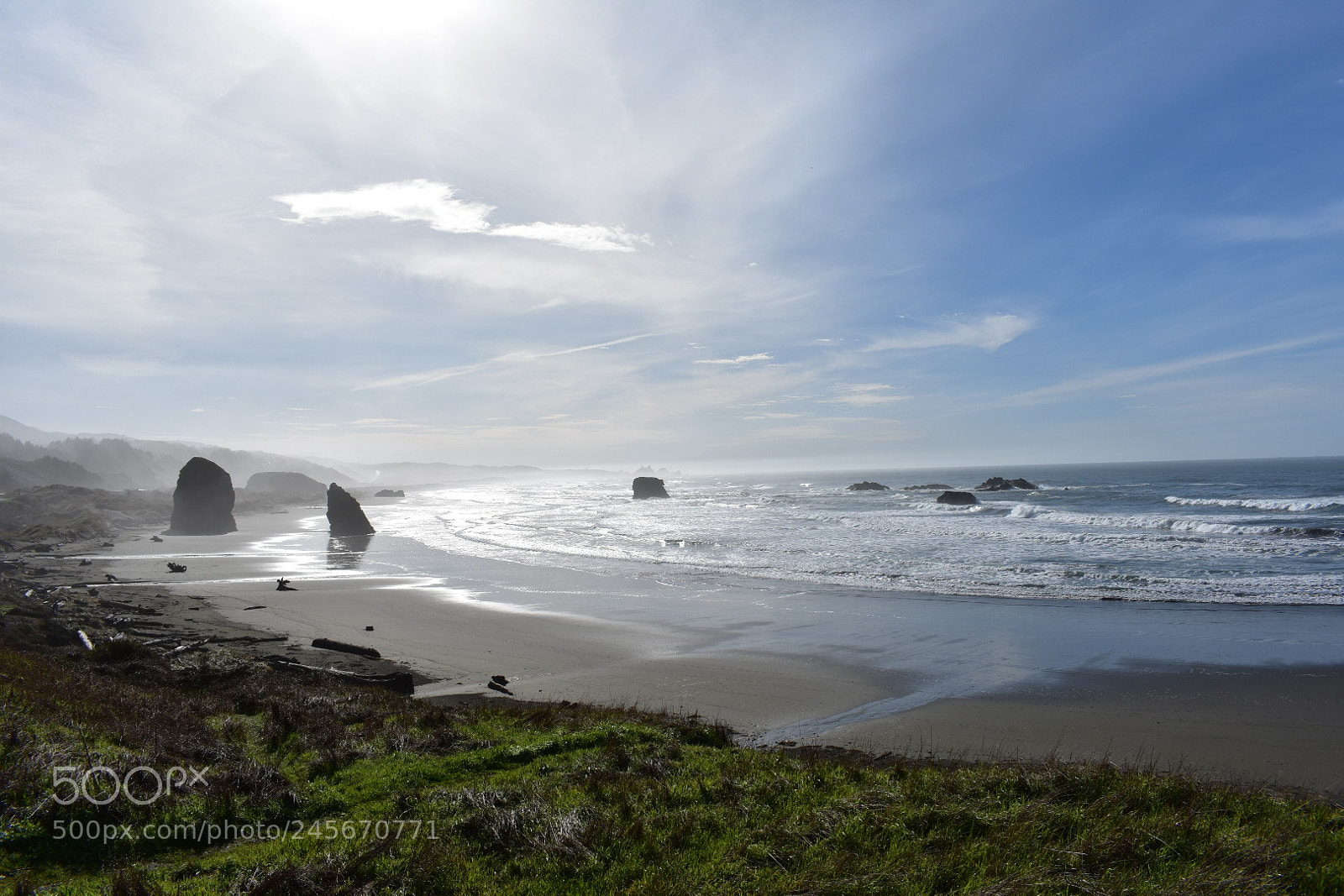 Nikon D3400 sample photo. Oregon coast, or photography