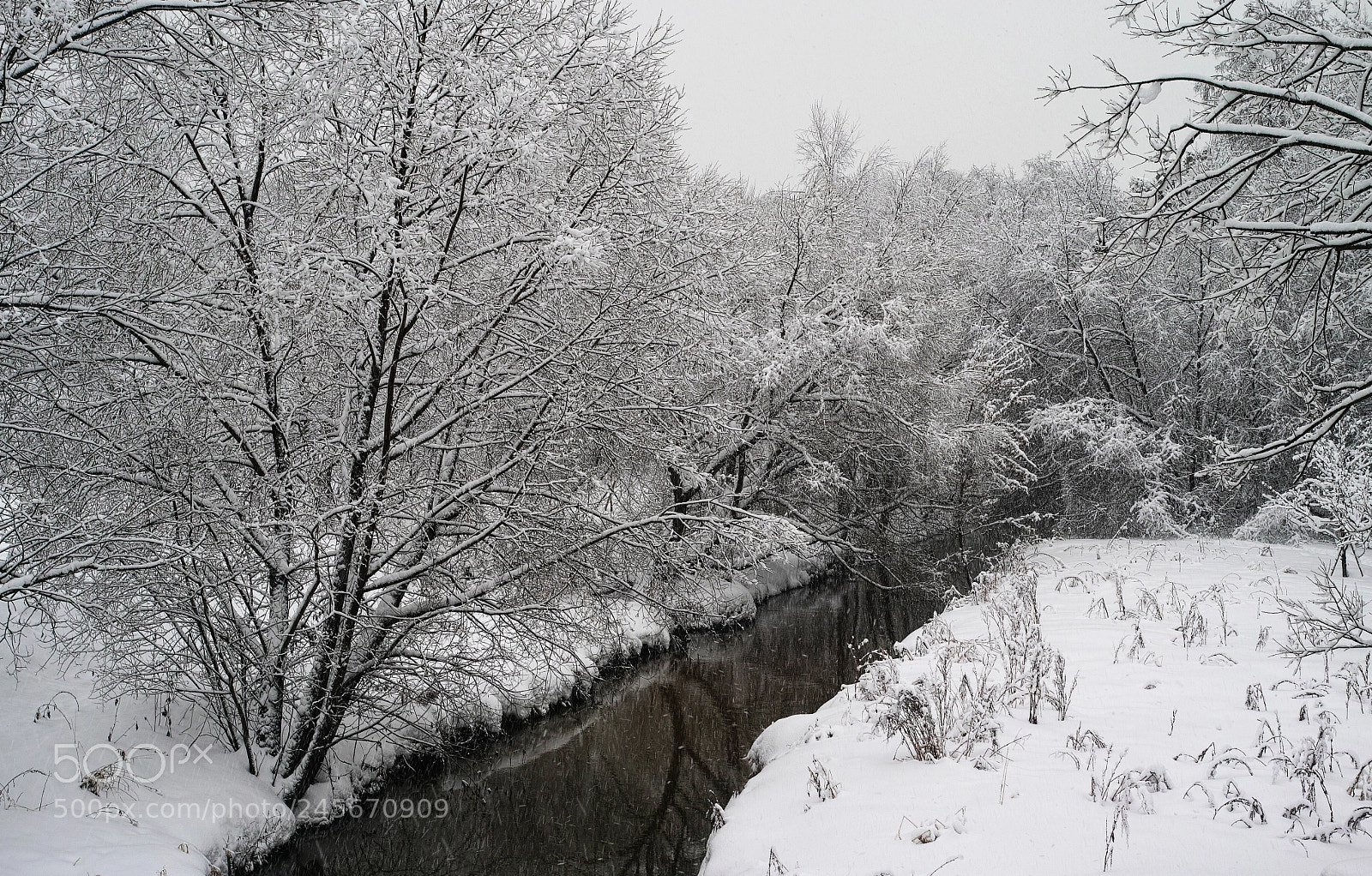 Sigma DP2 Merrill sample photo. Winter photography