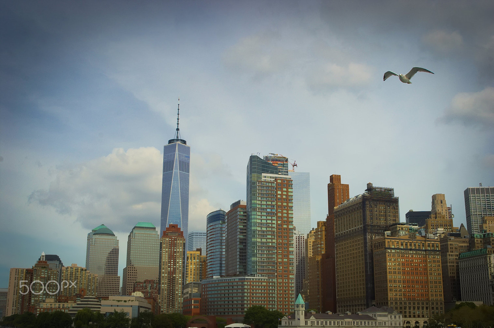 Pentax K100D sample photo. New york city cityscape seagull photography
