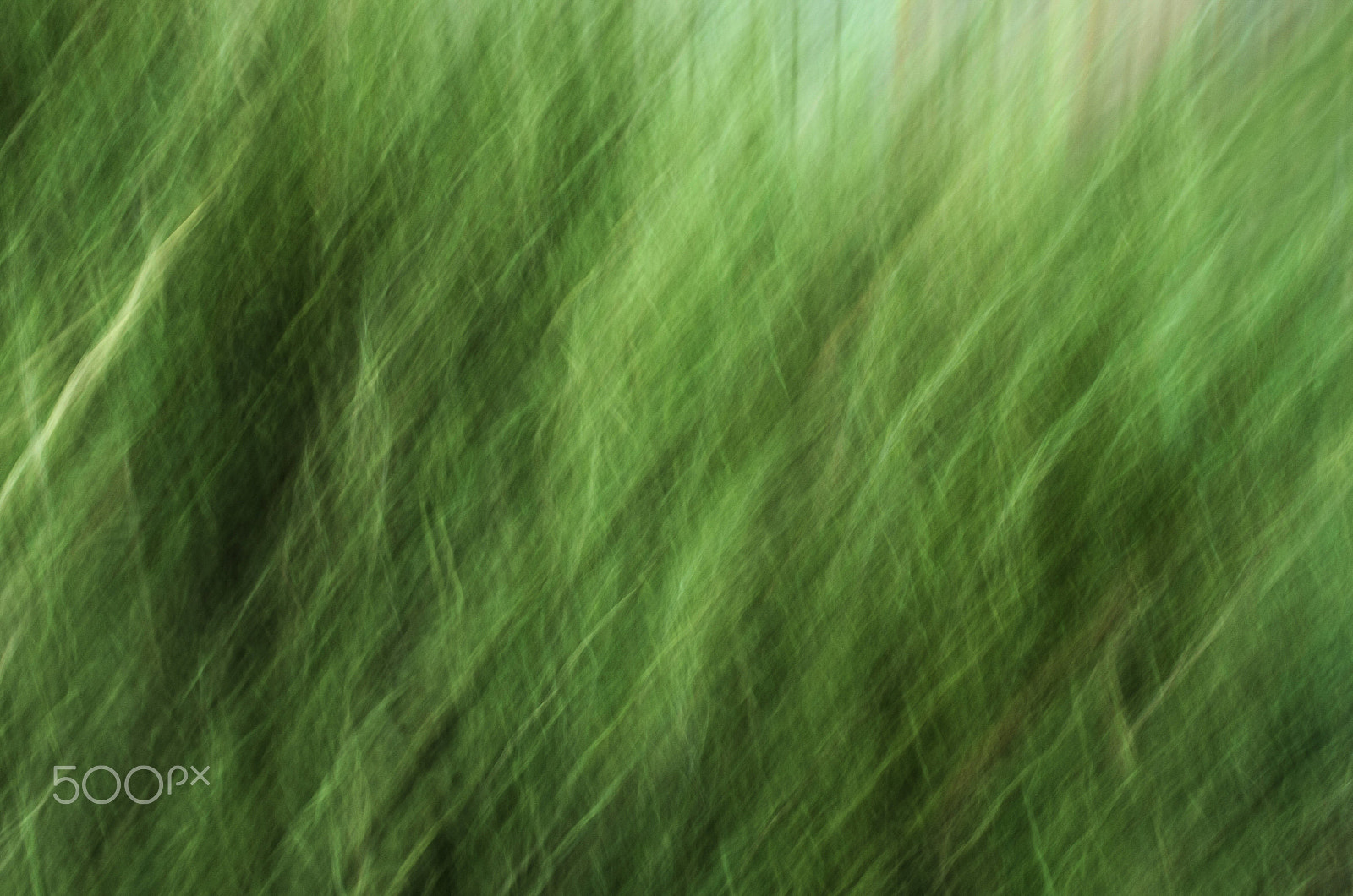 Pentax K-5 sample photo. Green texture abstract photography