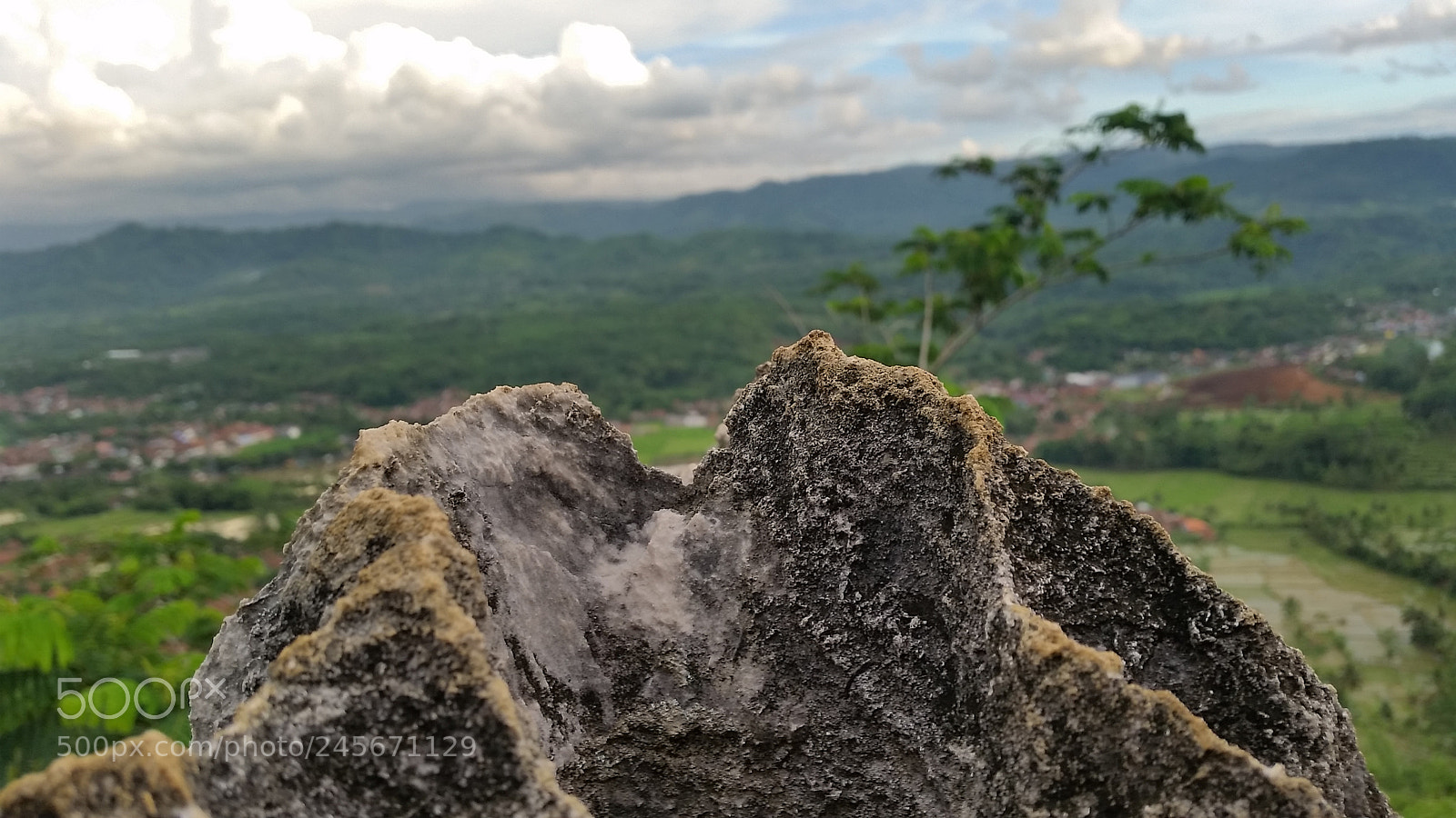 Samsung Galaxy S5 sample photo. Coral reef in sky photography