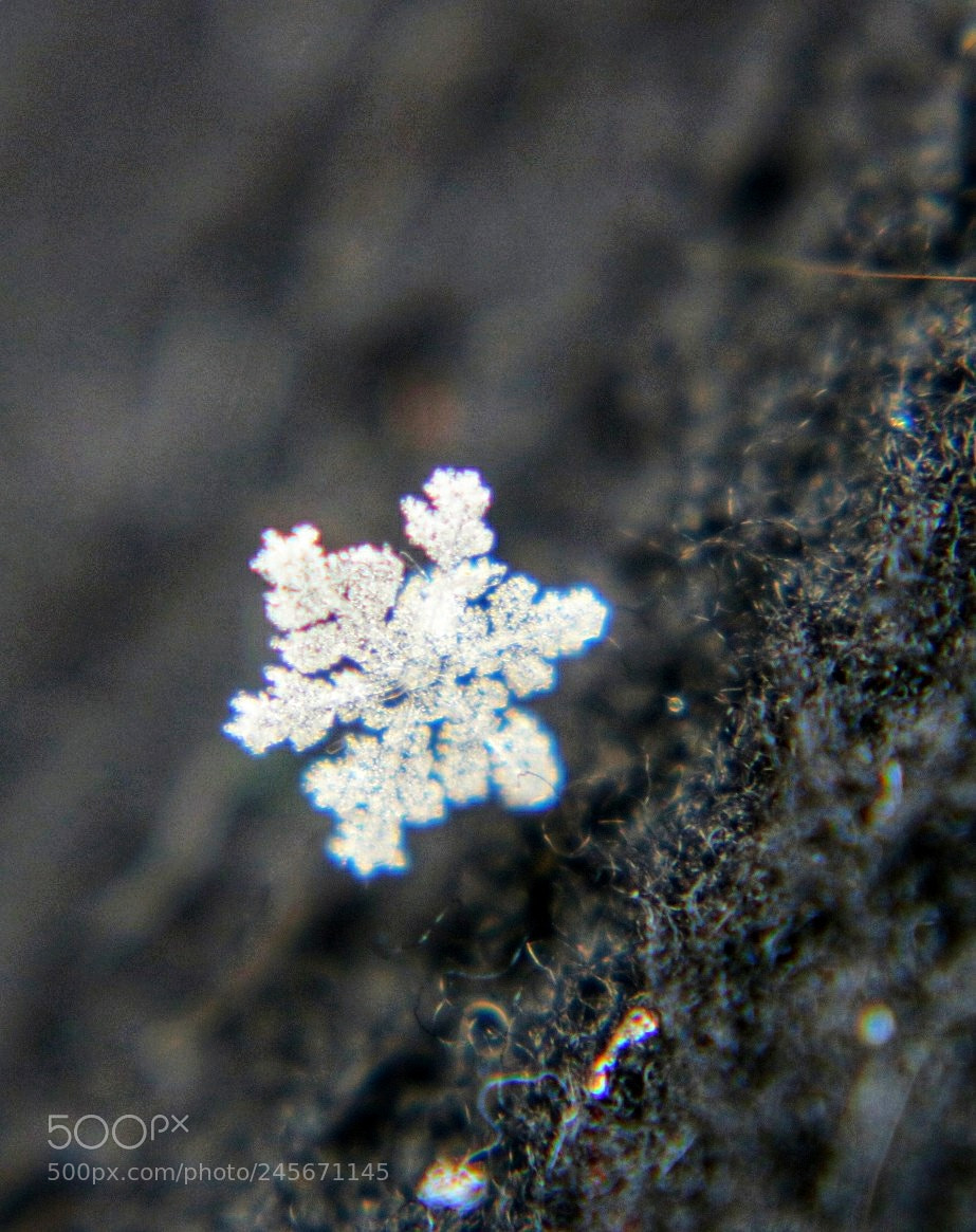 Canon EOS 750D (EOS Rebel T6i / EOS Kiss X8i) sample photo. Snowflake photography
