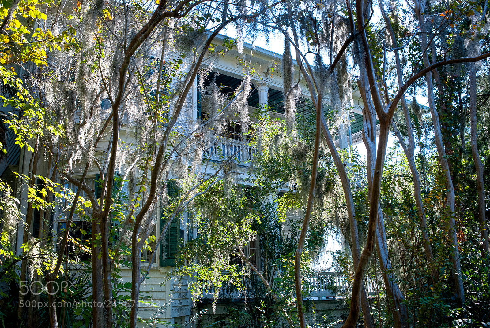 Nikon D700 sample photo. Beaufort south carolina photography