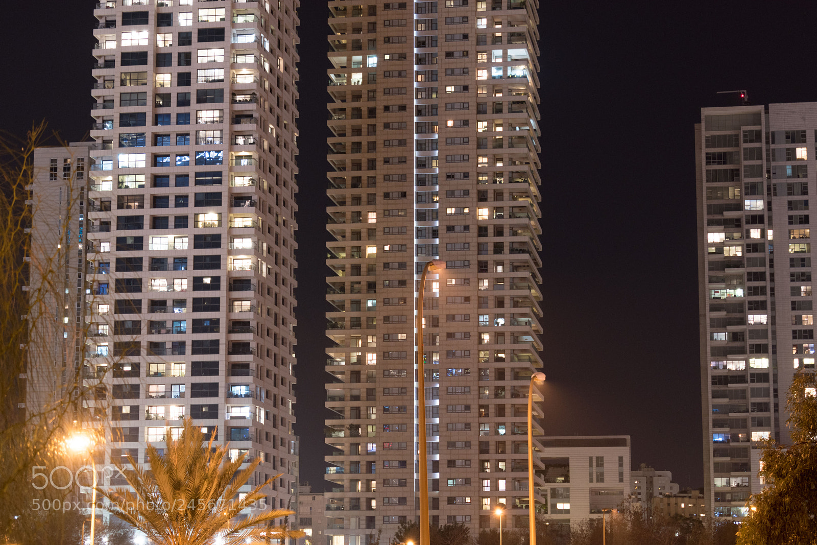 Nikon D5600 sample photo. Closeup photography