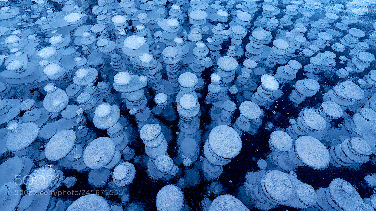 Sony a7R III sample photo. Abraham lake ice bubbles photography