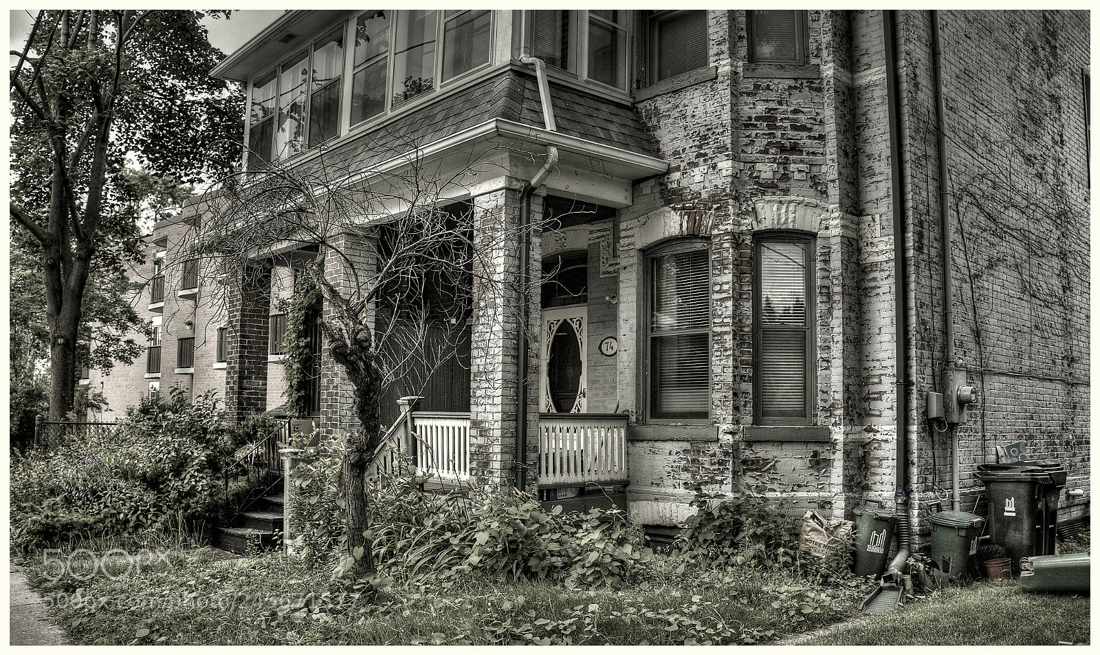 Fujifilm X100S sample photo. The withering tree photography