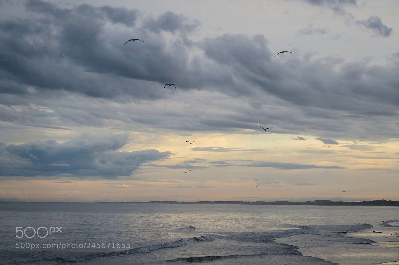 Canon PowerShot G7 X sample photo. Waikanae beach nz photography