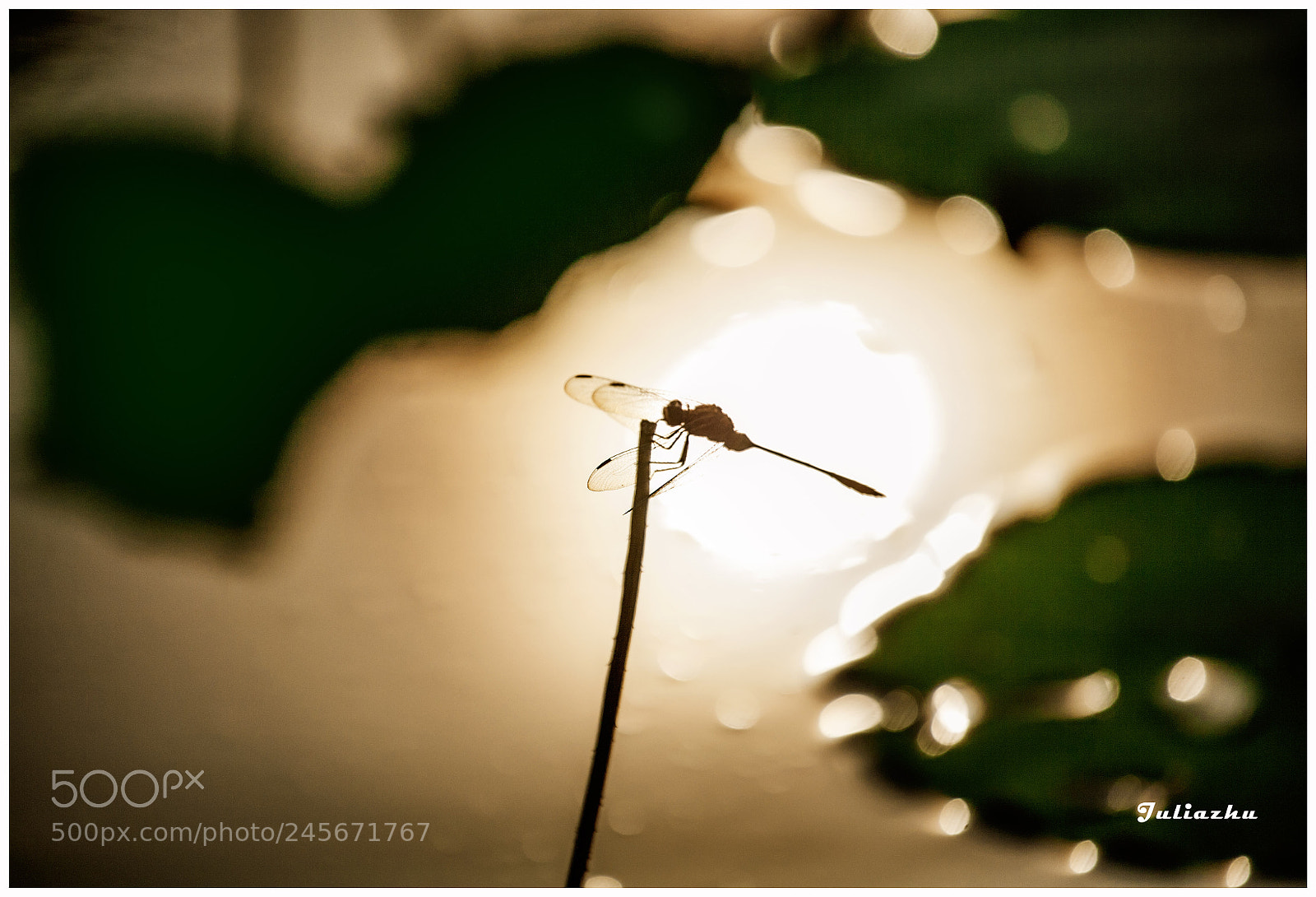 Canon EOS 5D sample photo. Untitled photography