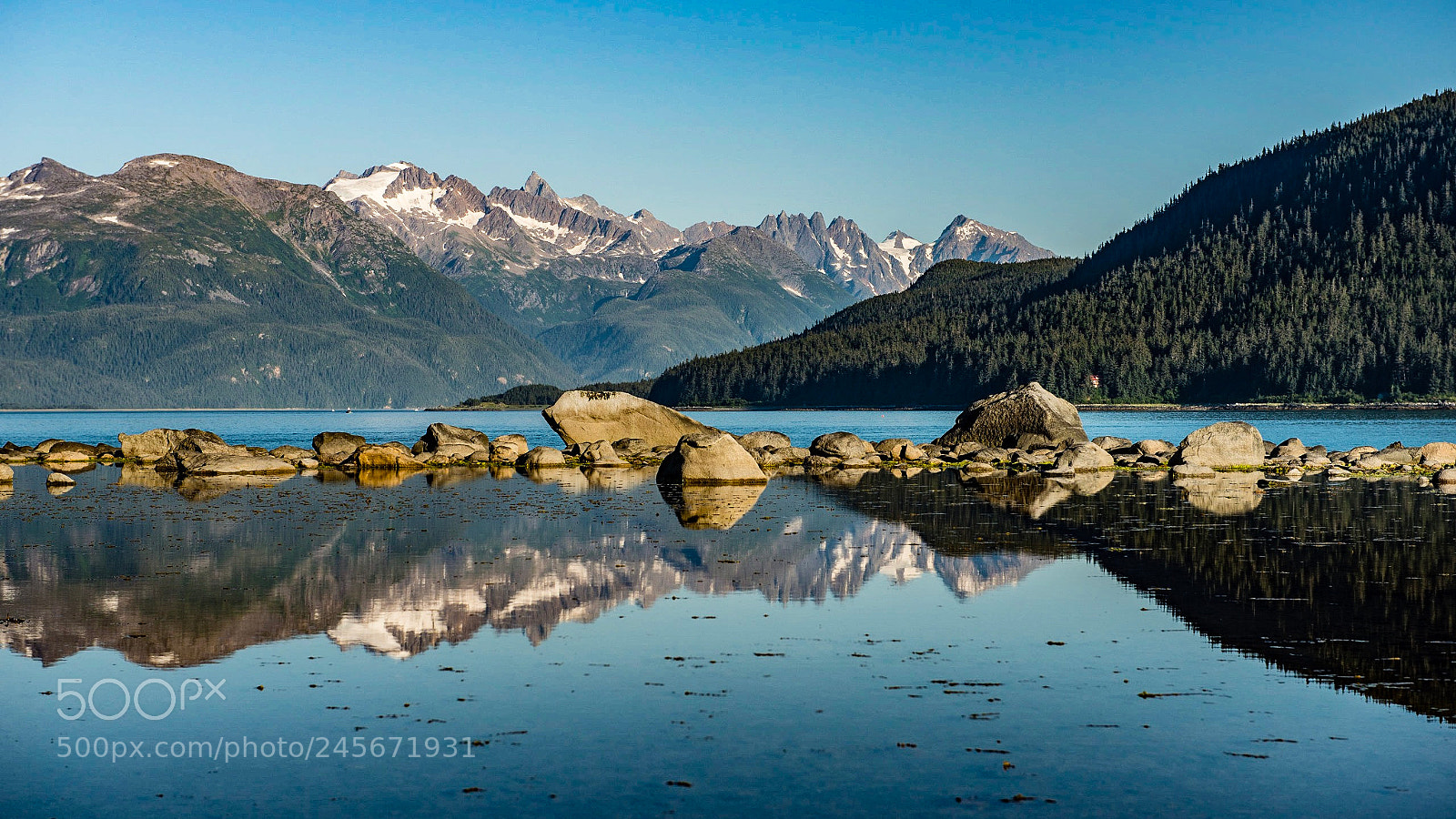 Nikon D800 sample photo. Alaska at the best photography
